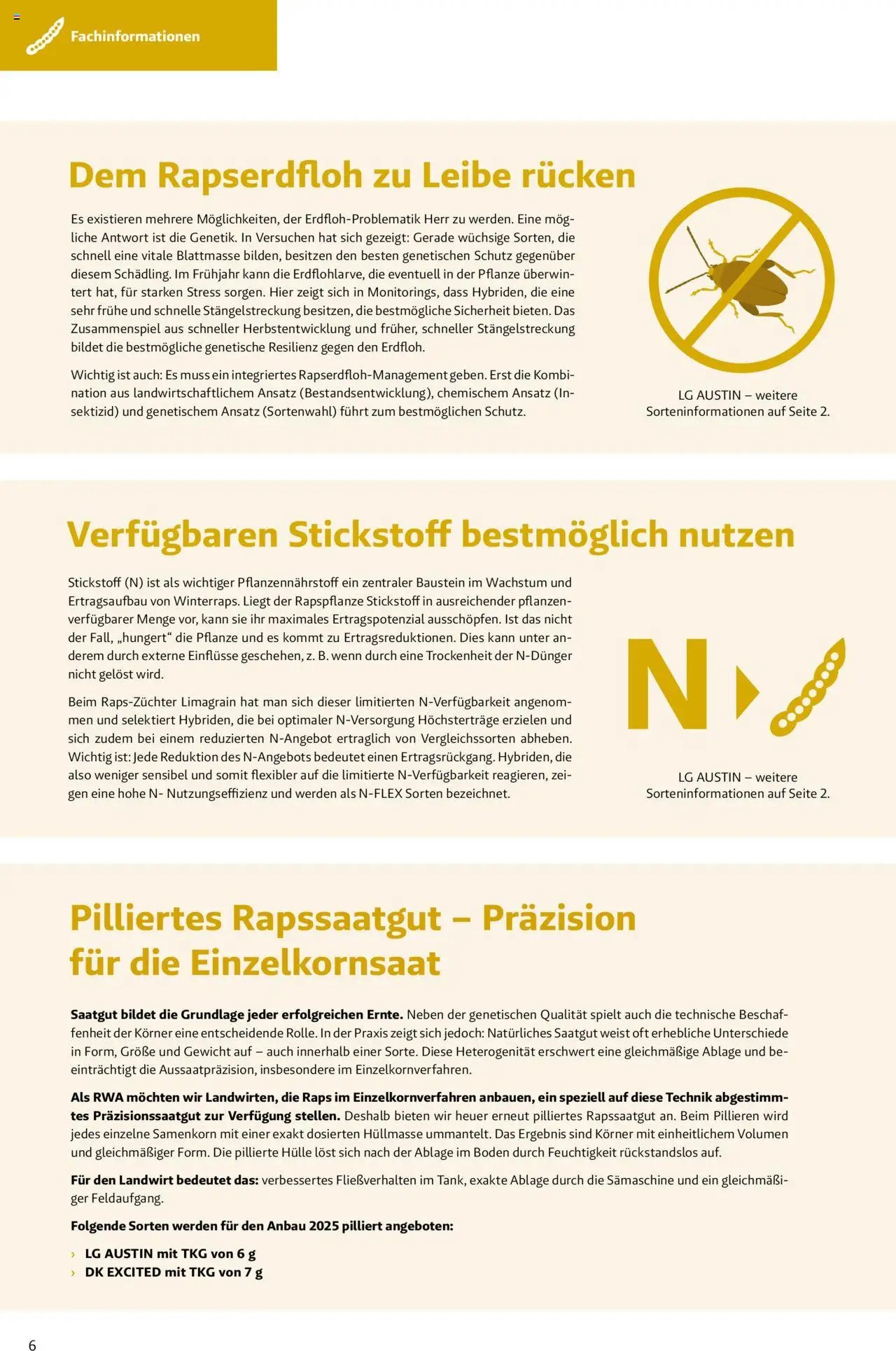 Lagerhaus Das Fachblatt für den Rapsanbau