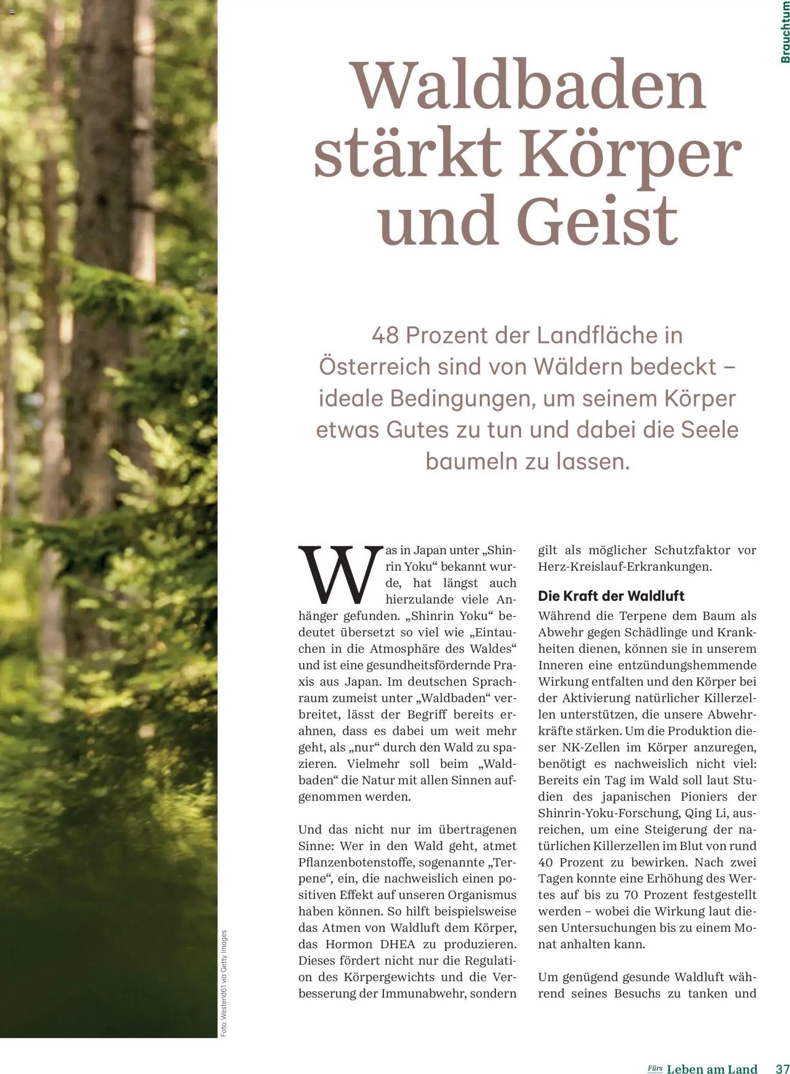 Lagerhaus Fürs Leben am Land