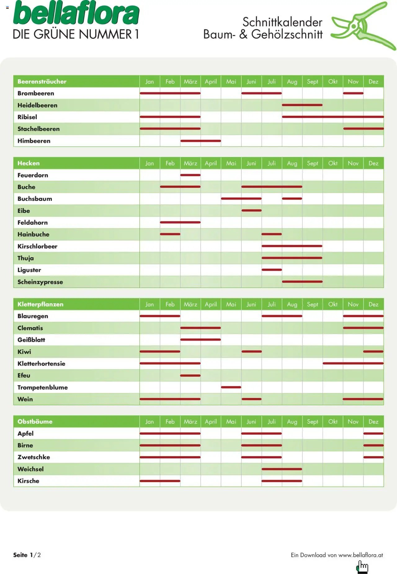 bellaflora - Schnittkalender Baum- und Gehölzschnitt