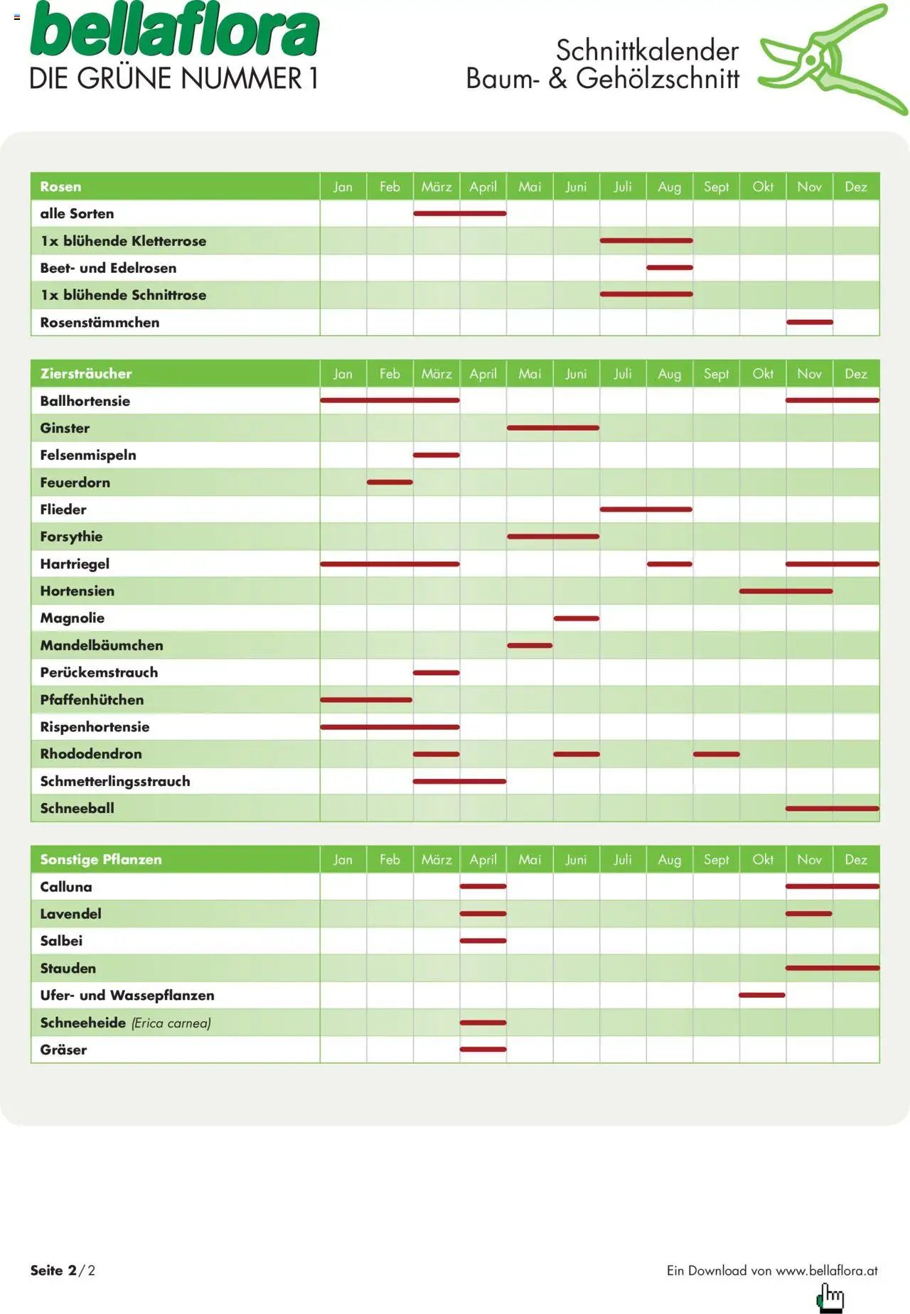 bellaflora - Schnittkalender Baum- und Gehölzschnitt
