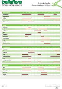 bellaflora - Schnittkalender Baum- und Gehölzschnitt
