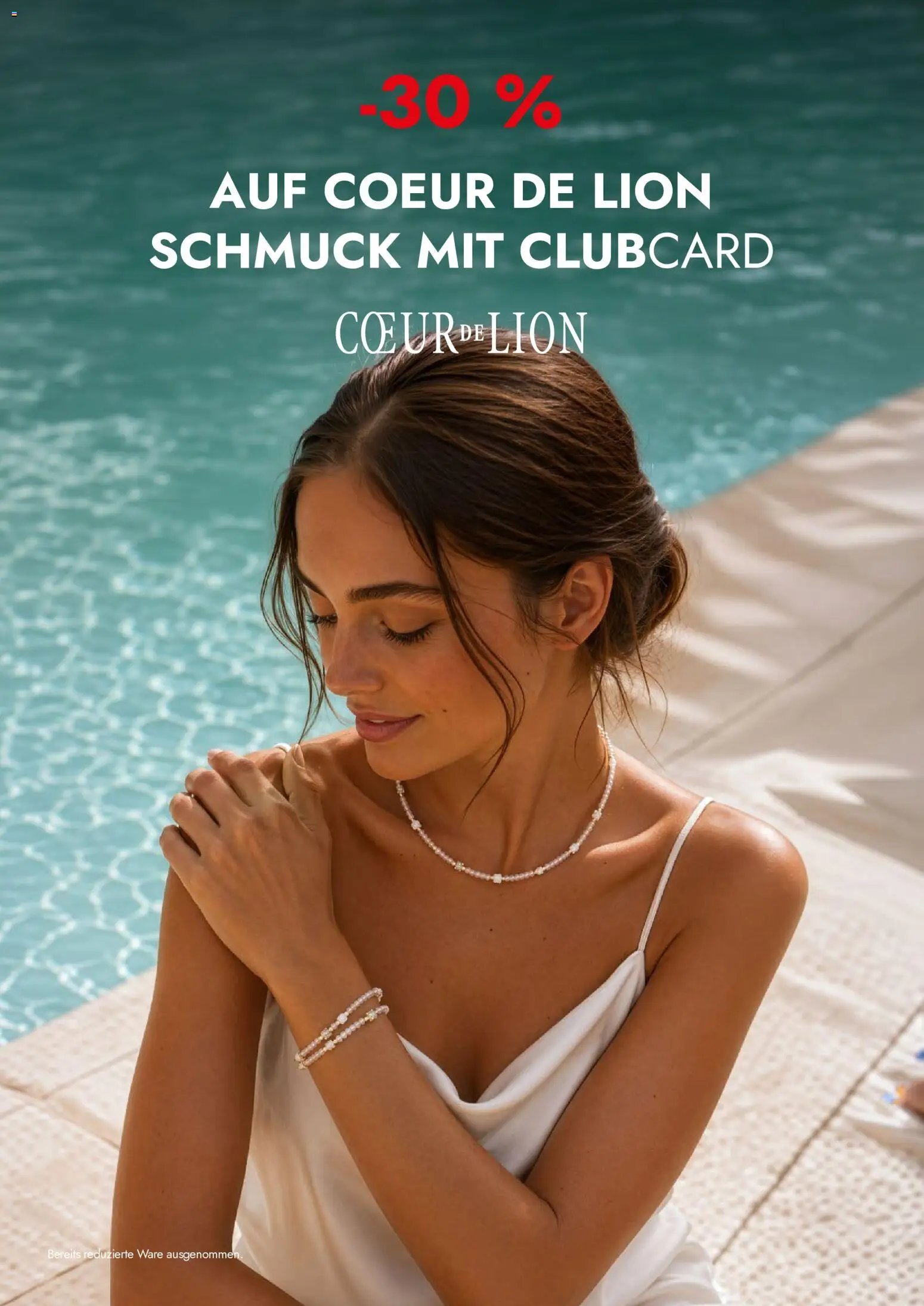 Travel FREE Flugblatt