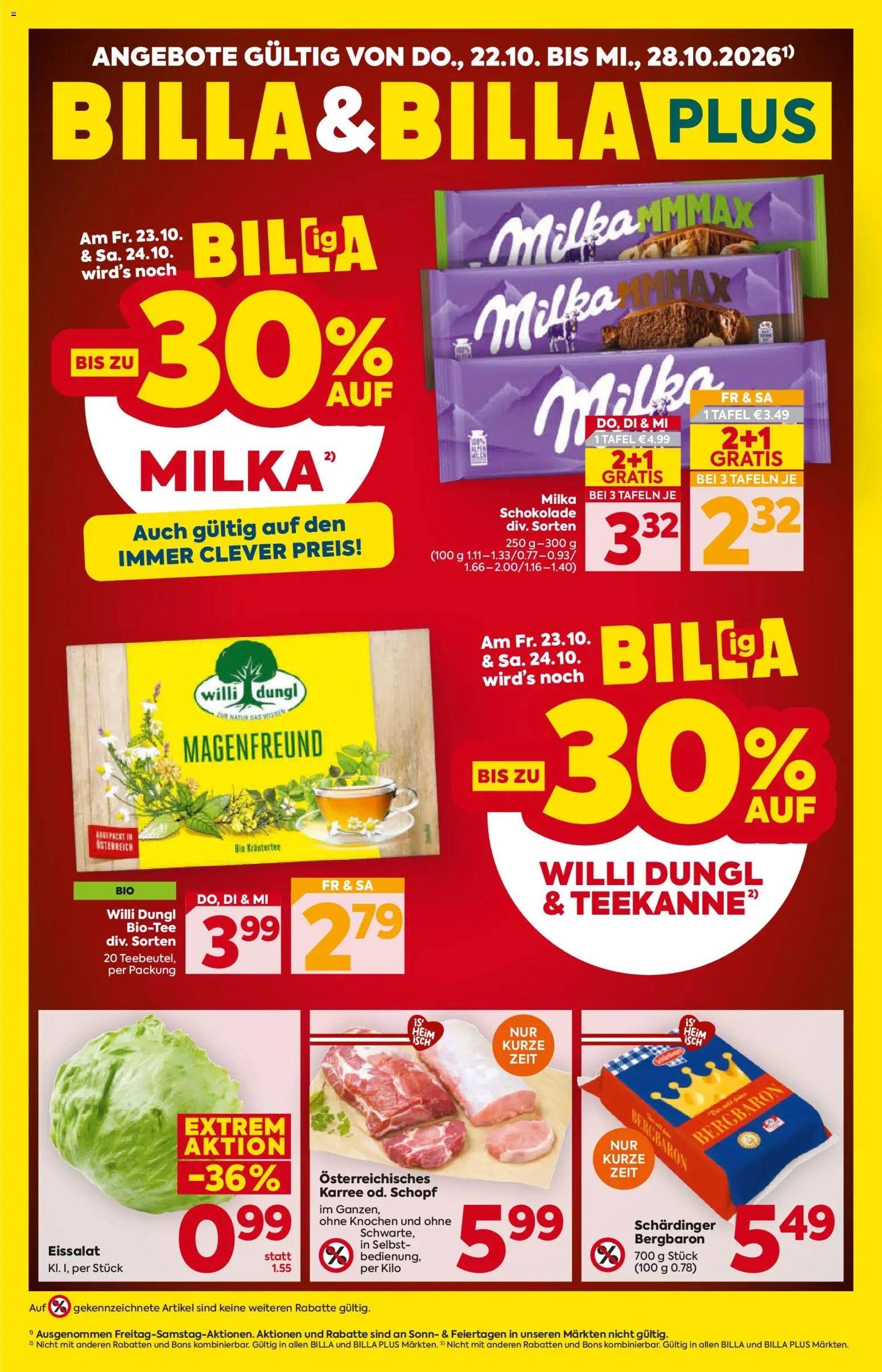Billa Flugblatt