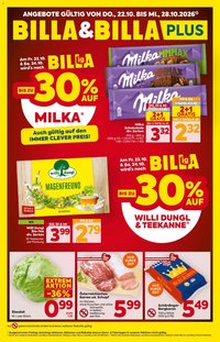 Billa Flugblatt