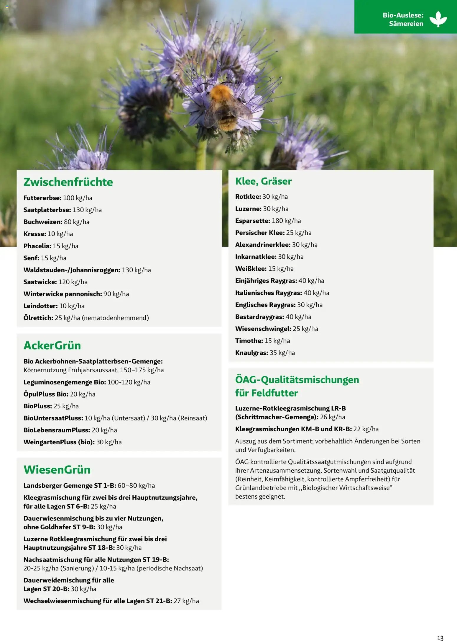 Lagerhaus - Frühjahr 2026