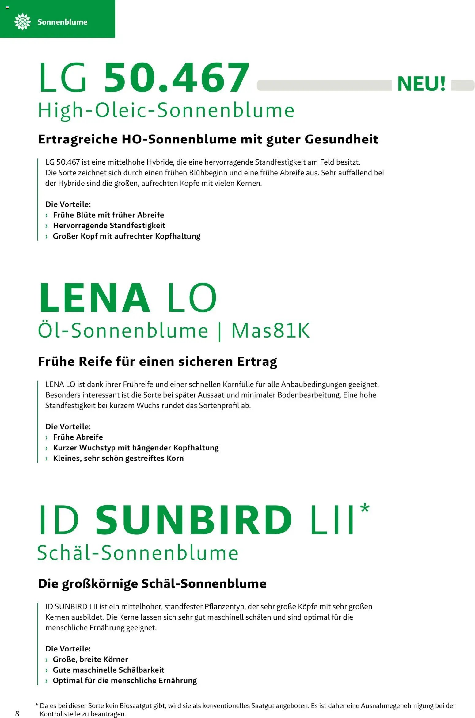 Lagerhaus - Frühjahr 2026