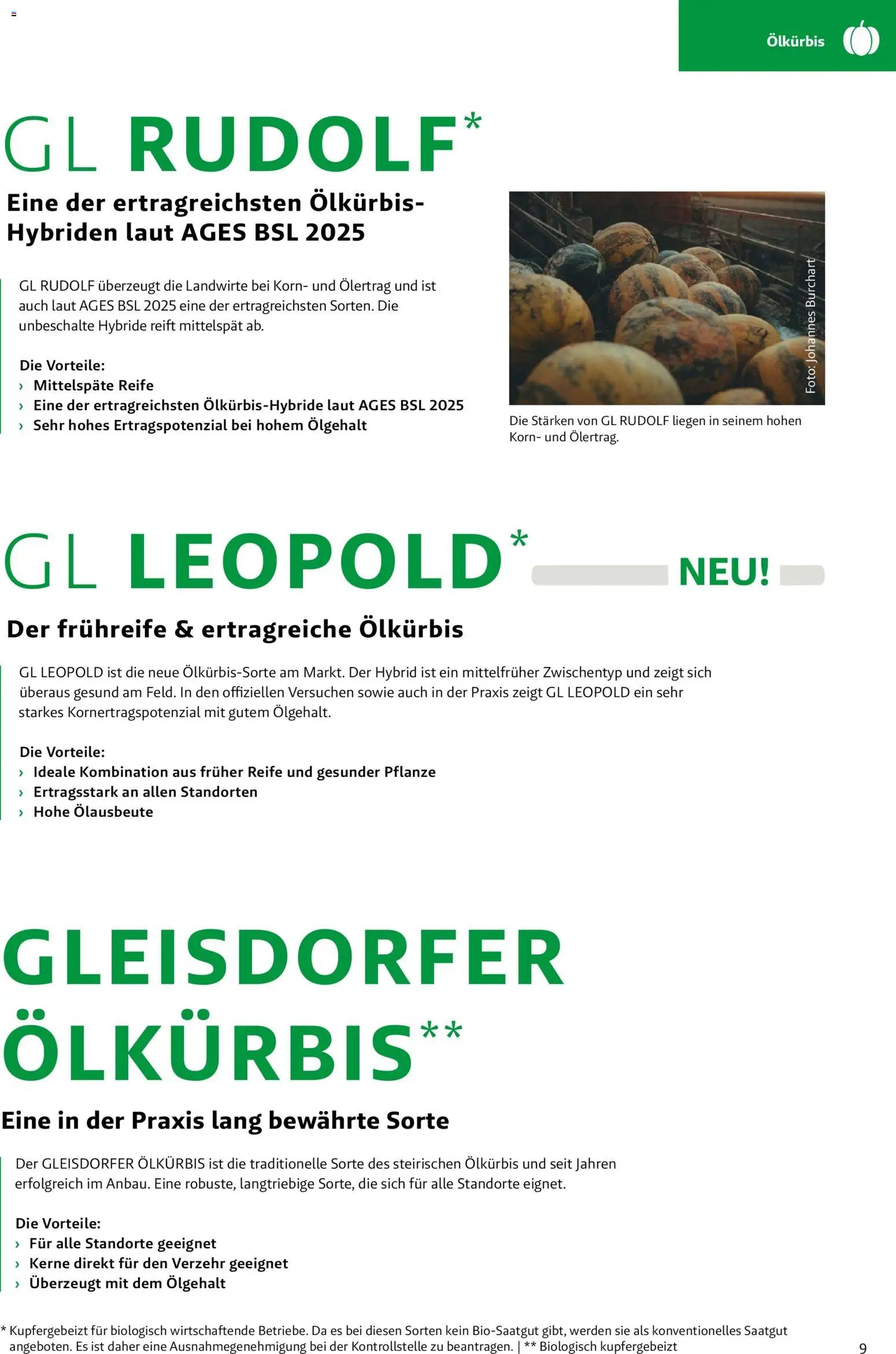 Lagerhaus - Frühjahr 2026