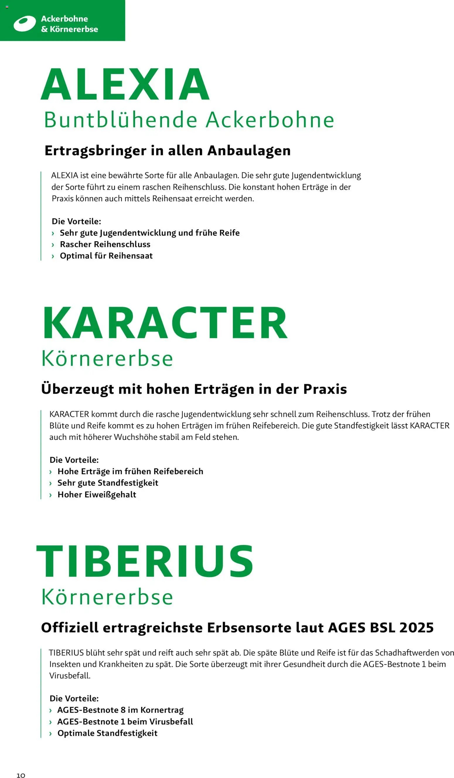 Lagerhaus - Frühjahr 2026