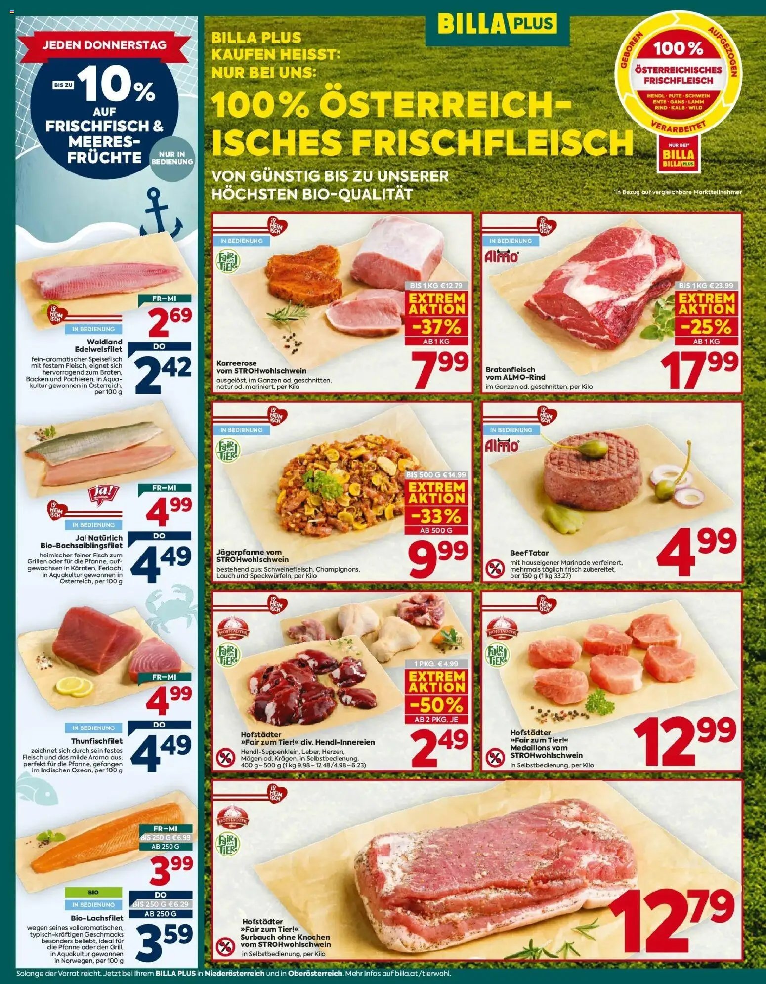 Billa Plus Flugblatt - Amstetten-Niederösterreich