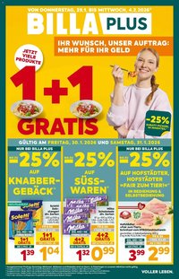 Billa Plus Flugblatt - Steiermark