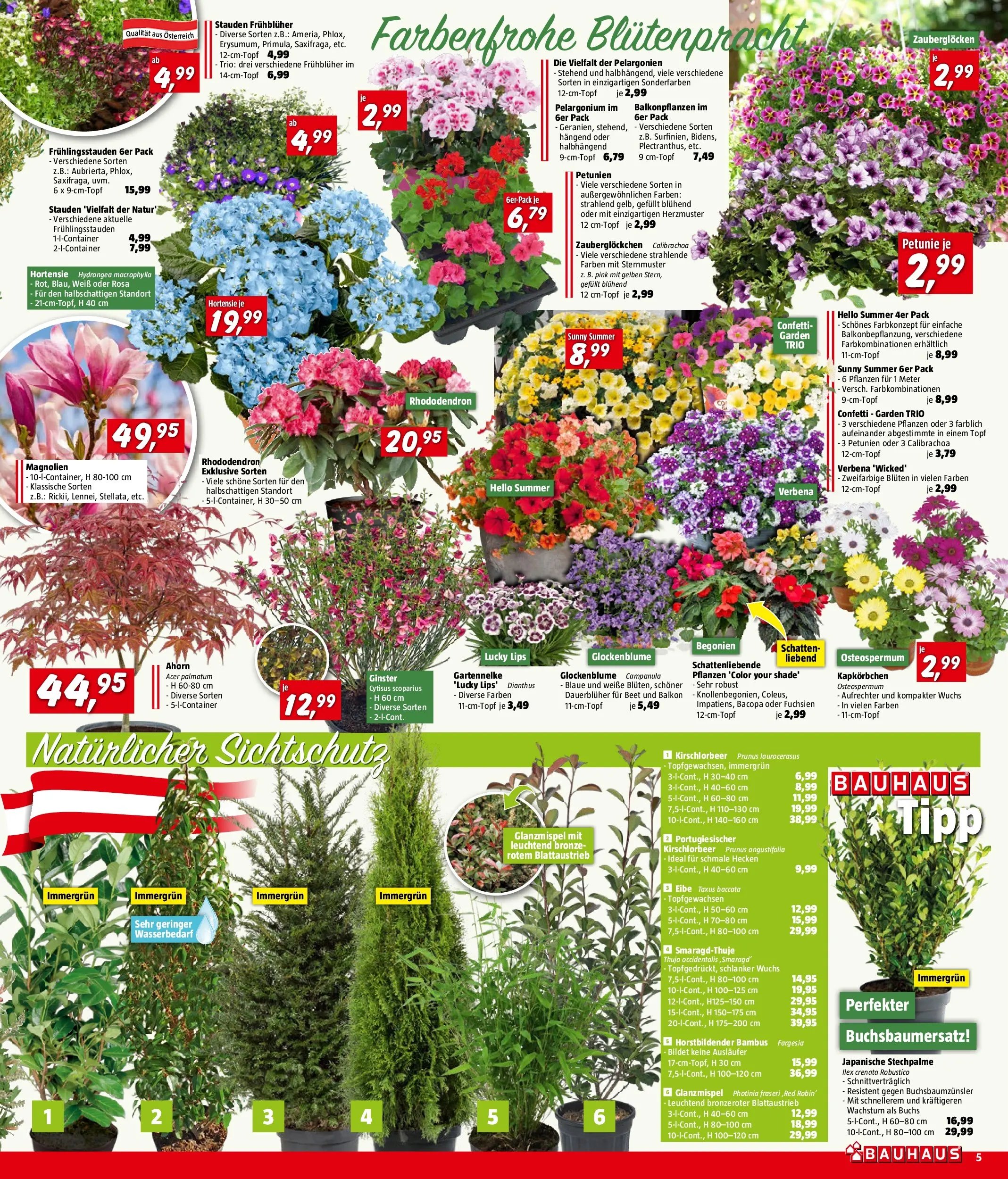 Bauhaus Pasching, Wels, Steyr