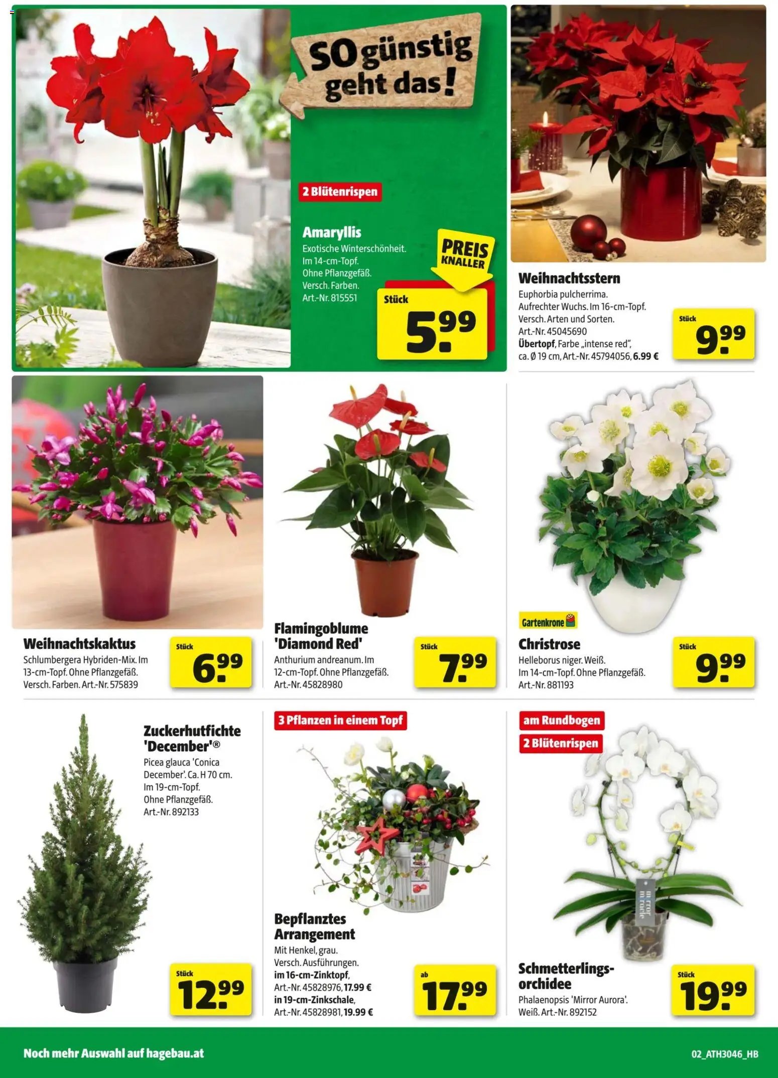 Hagebau Flugblatt (2025-11-04 - 2025-11-15)