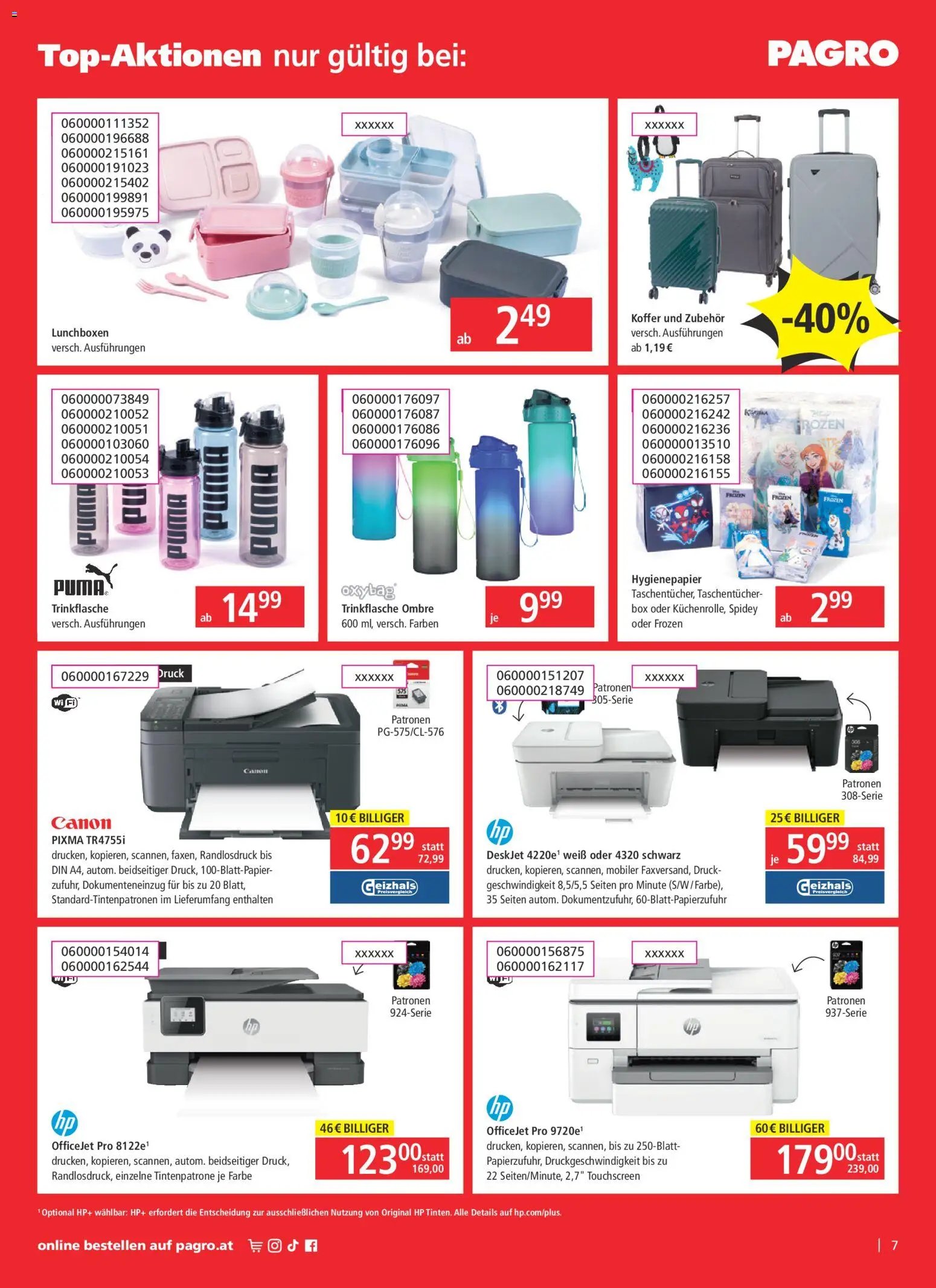 Libro Flugblatt