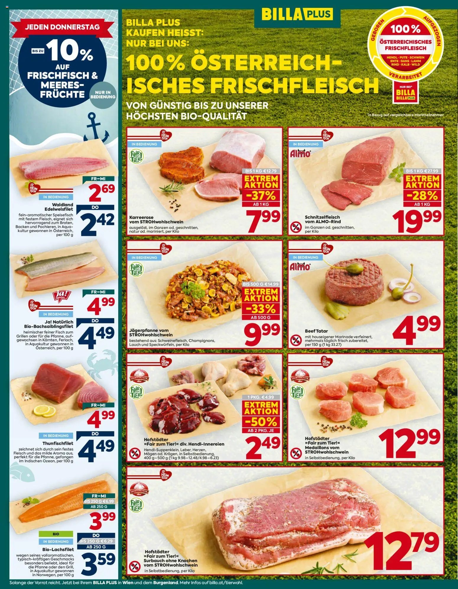Billa Plus Flugblatt