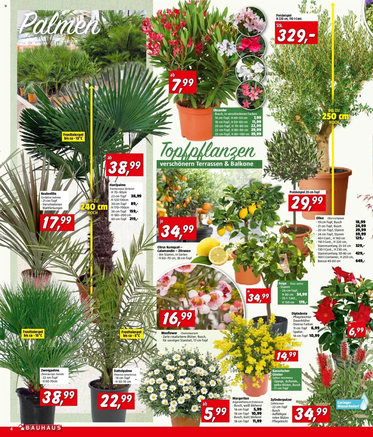 Bauhaus Prospekt aktuell