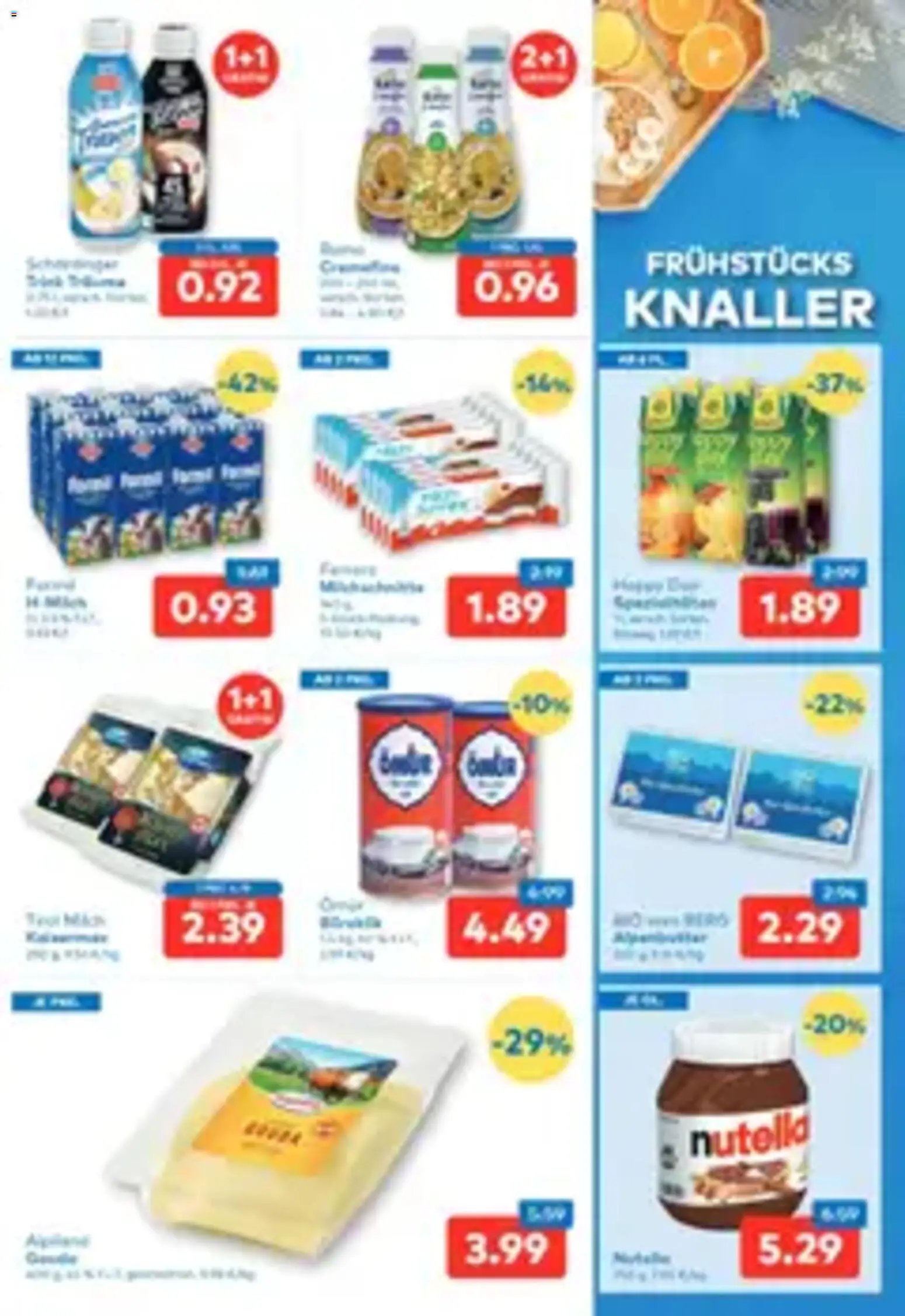 T&G Flugblatt