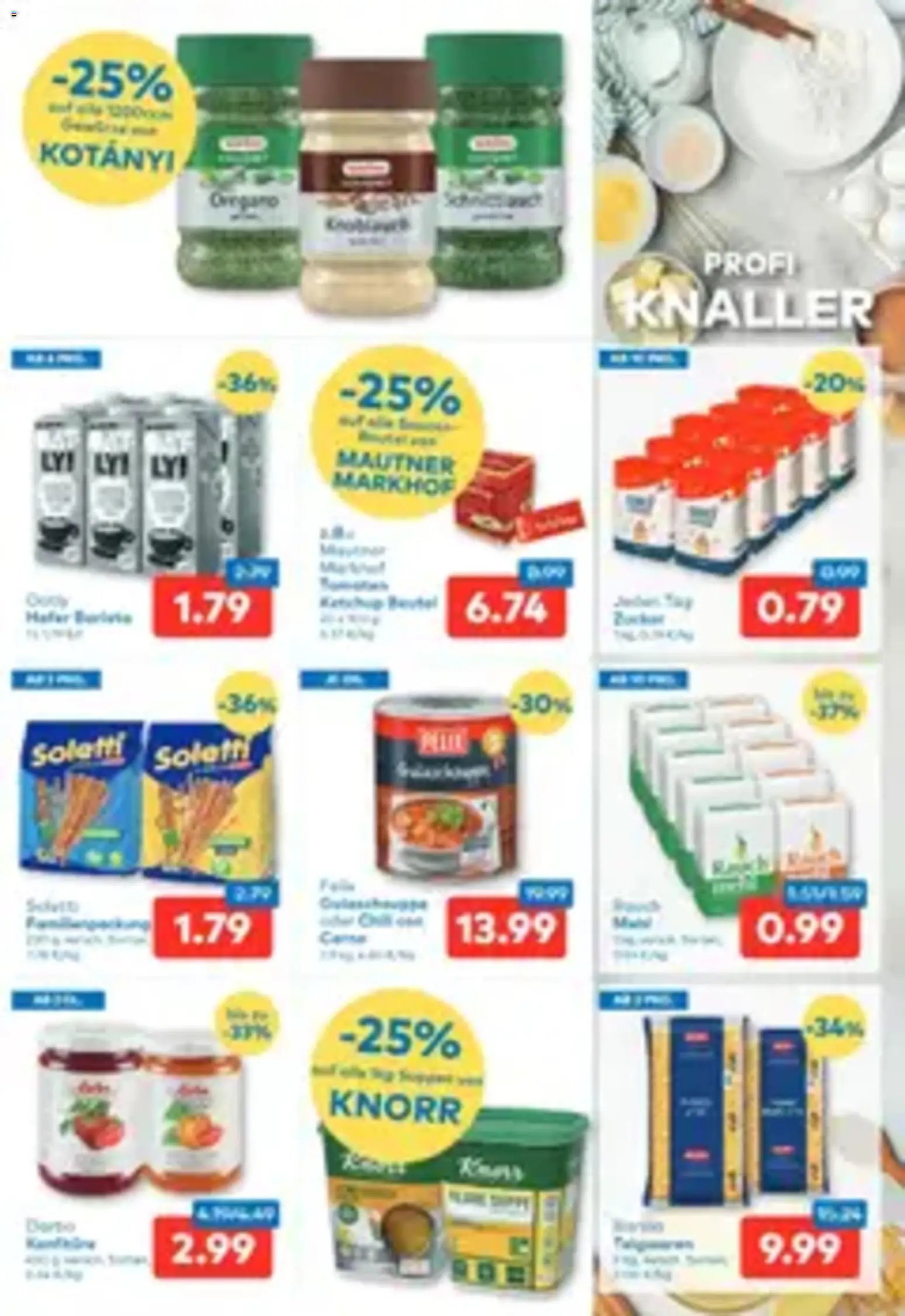 T&G Flugblatt