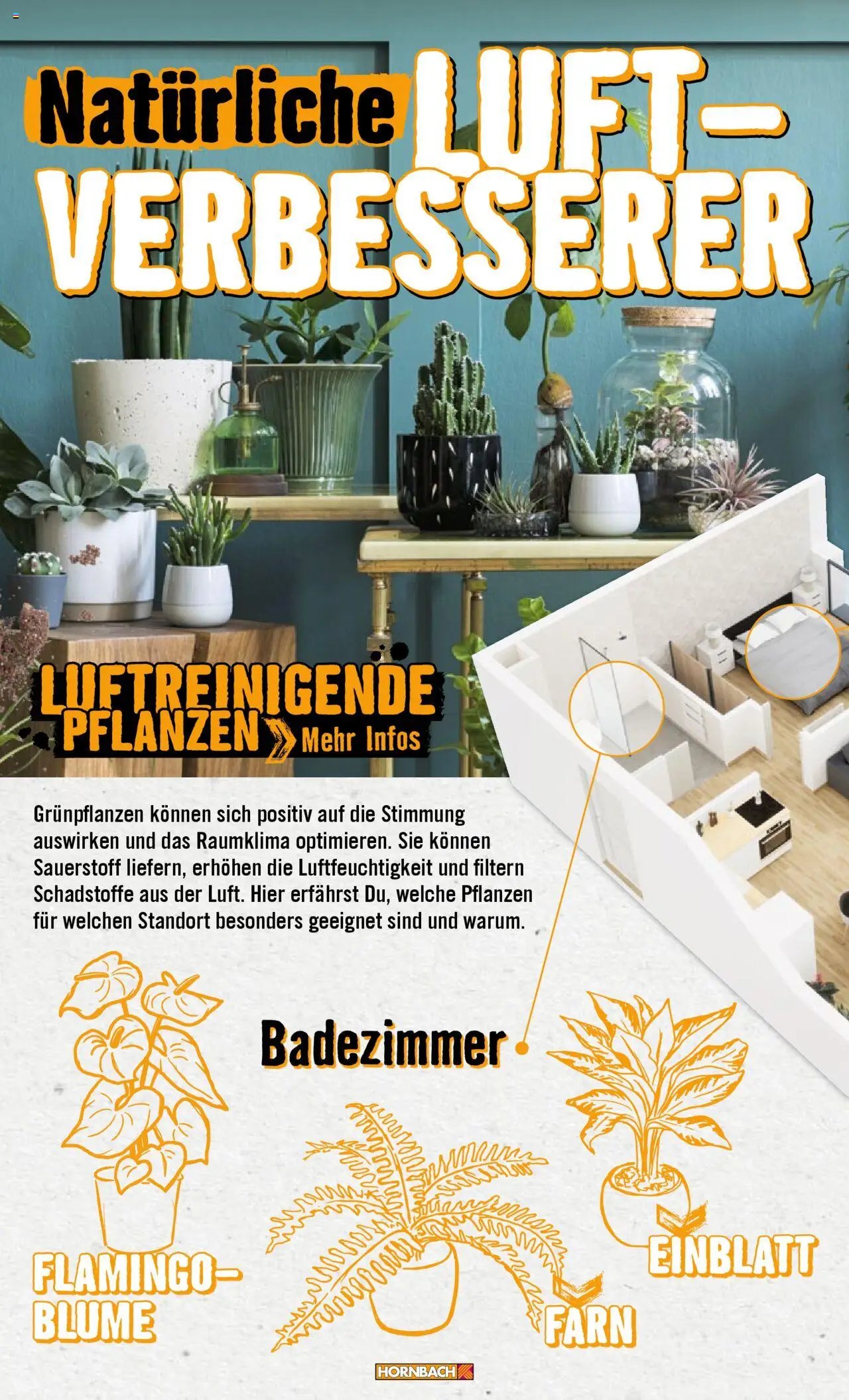 Hornbach Wohnen (2024-09-18 - 2025-09-18)