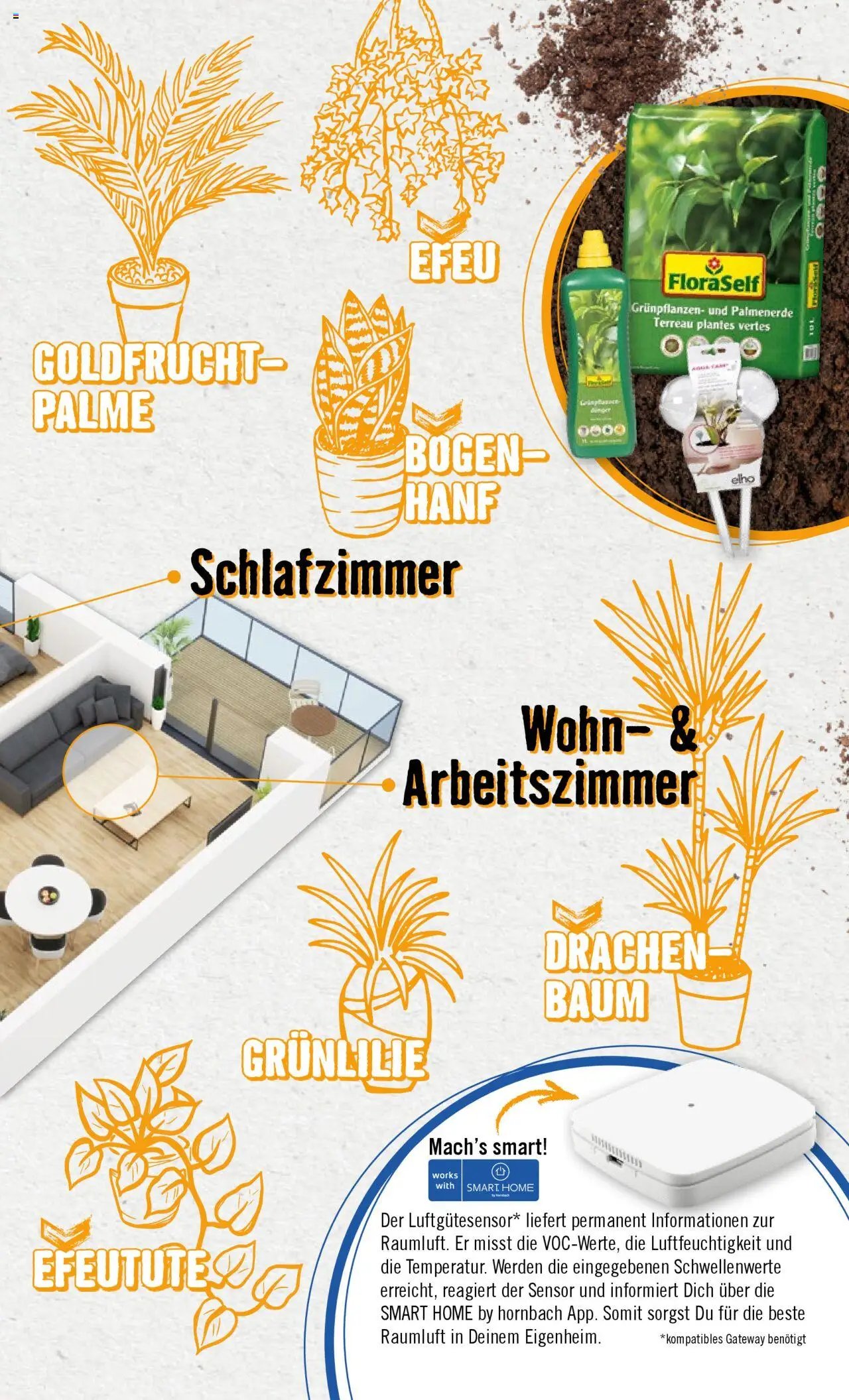 Hornbach Wohnen (2024-09-18 - 2025-09-18)