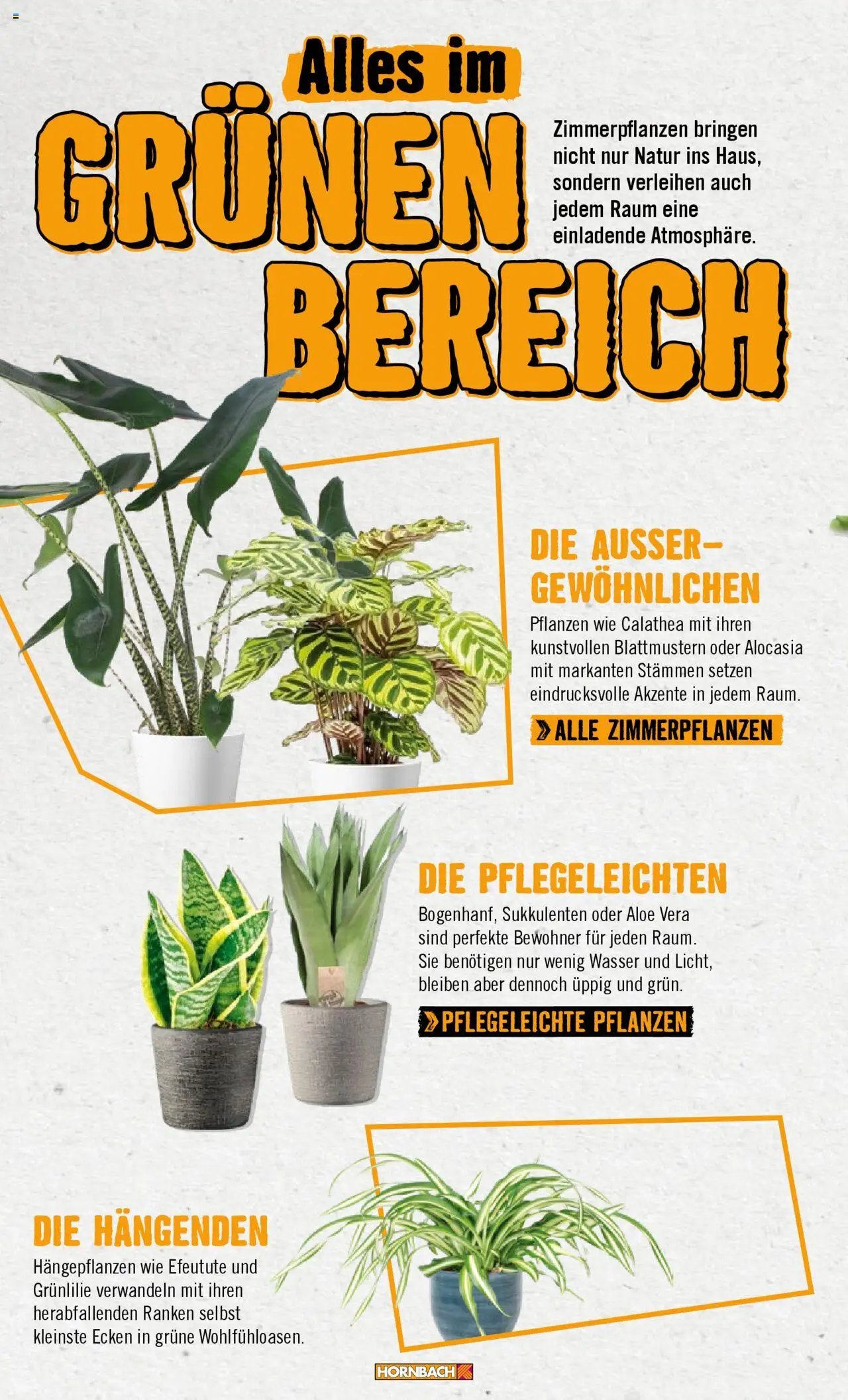 Hornbach Wohnen (2024-09-18 - 2025-09-18)