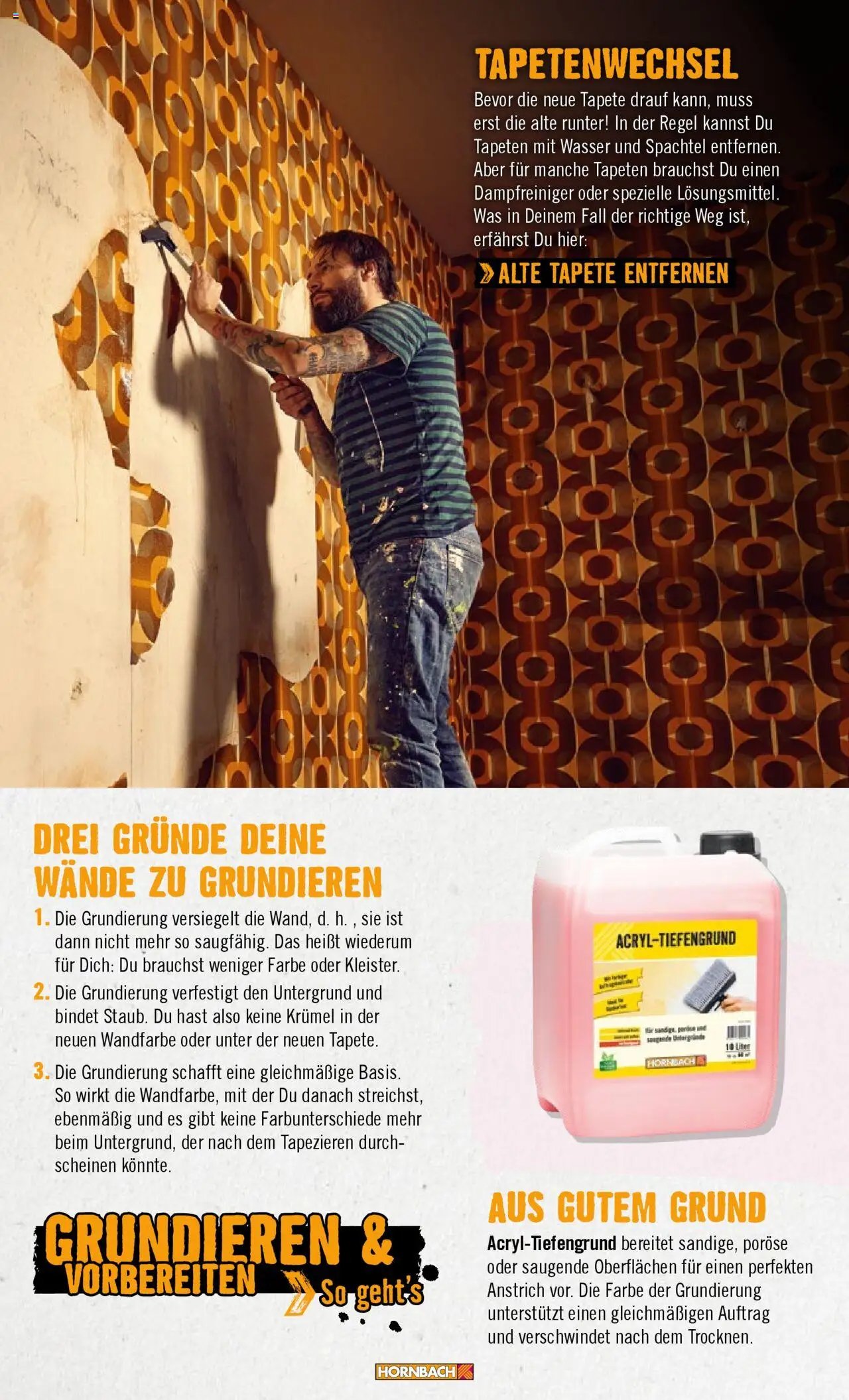 Hornbach Wände 2024 (2024-10-28 - 2025-10-28)