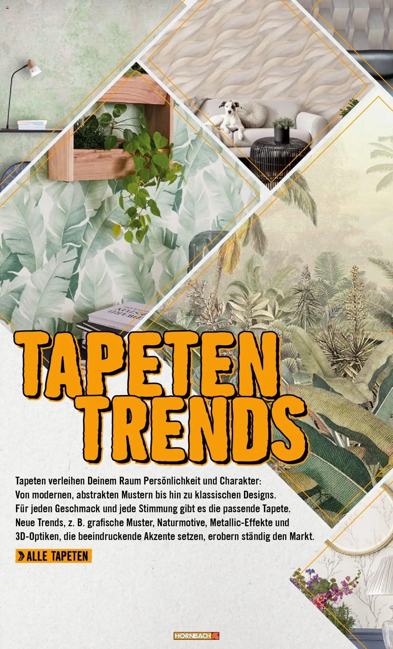 Hornbach Wände 2024 (2024-10-28 - 2025-10-28)