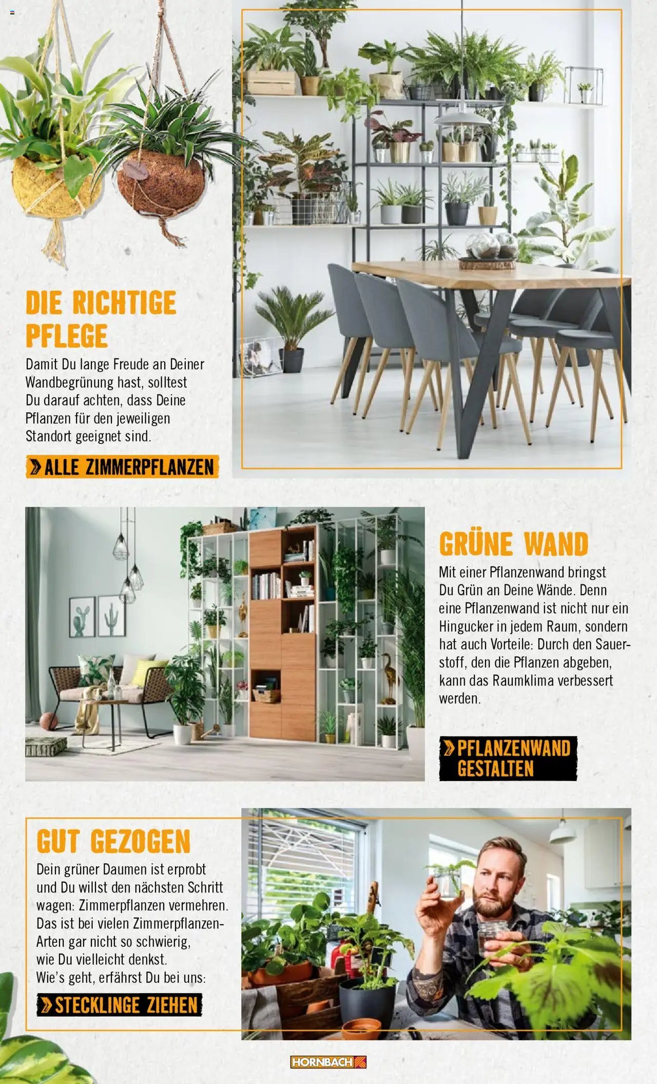 Hornbach Wände 2024 (2024-10-28 - 2025-10-28)