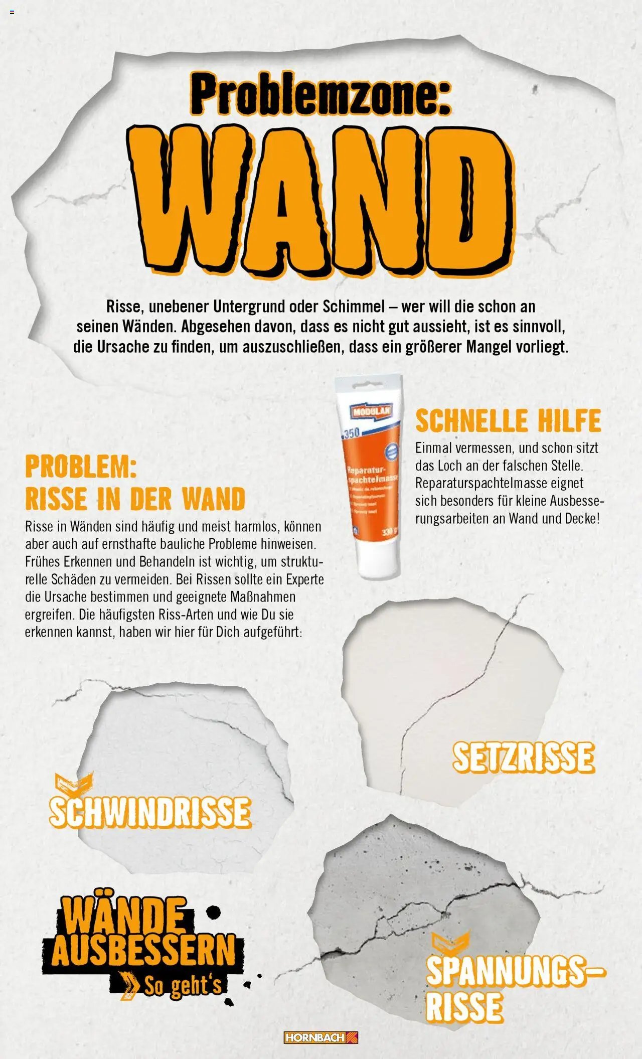 Hornbach Wände 2024 (2024-10-28 - 2025-10-28)