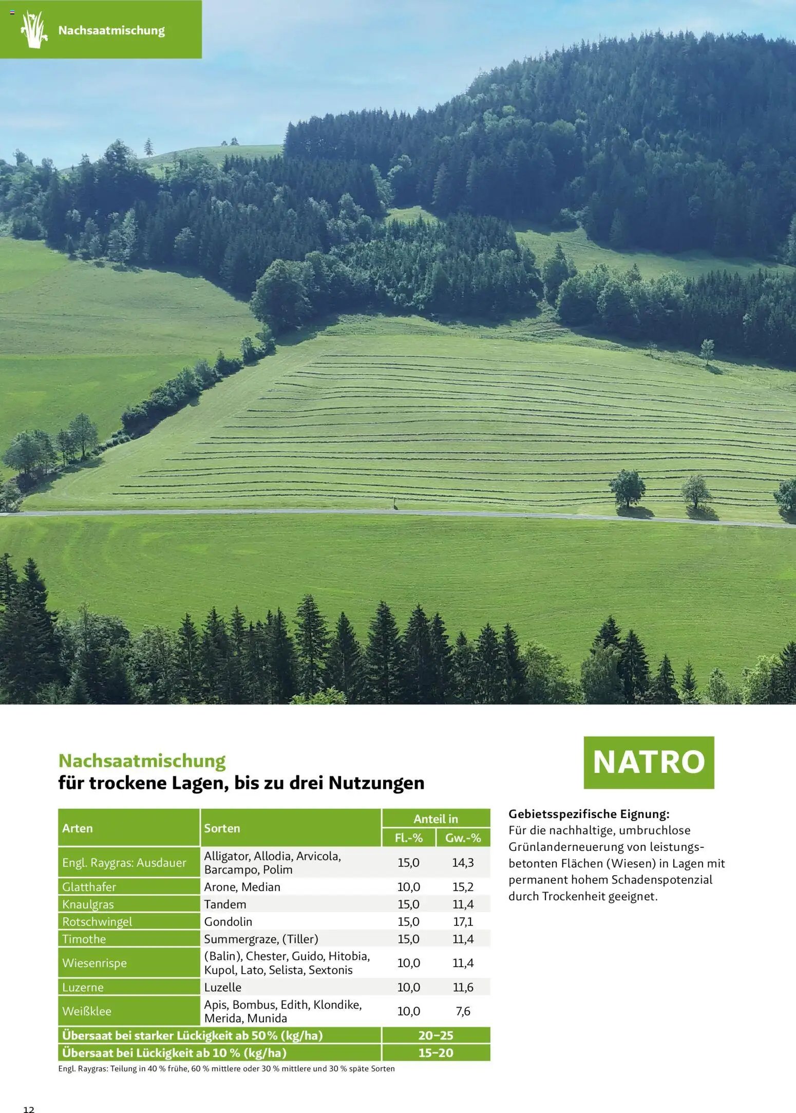 Lagerhaus Grünland  2026 / 2027 / 2028