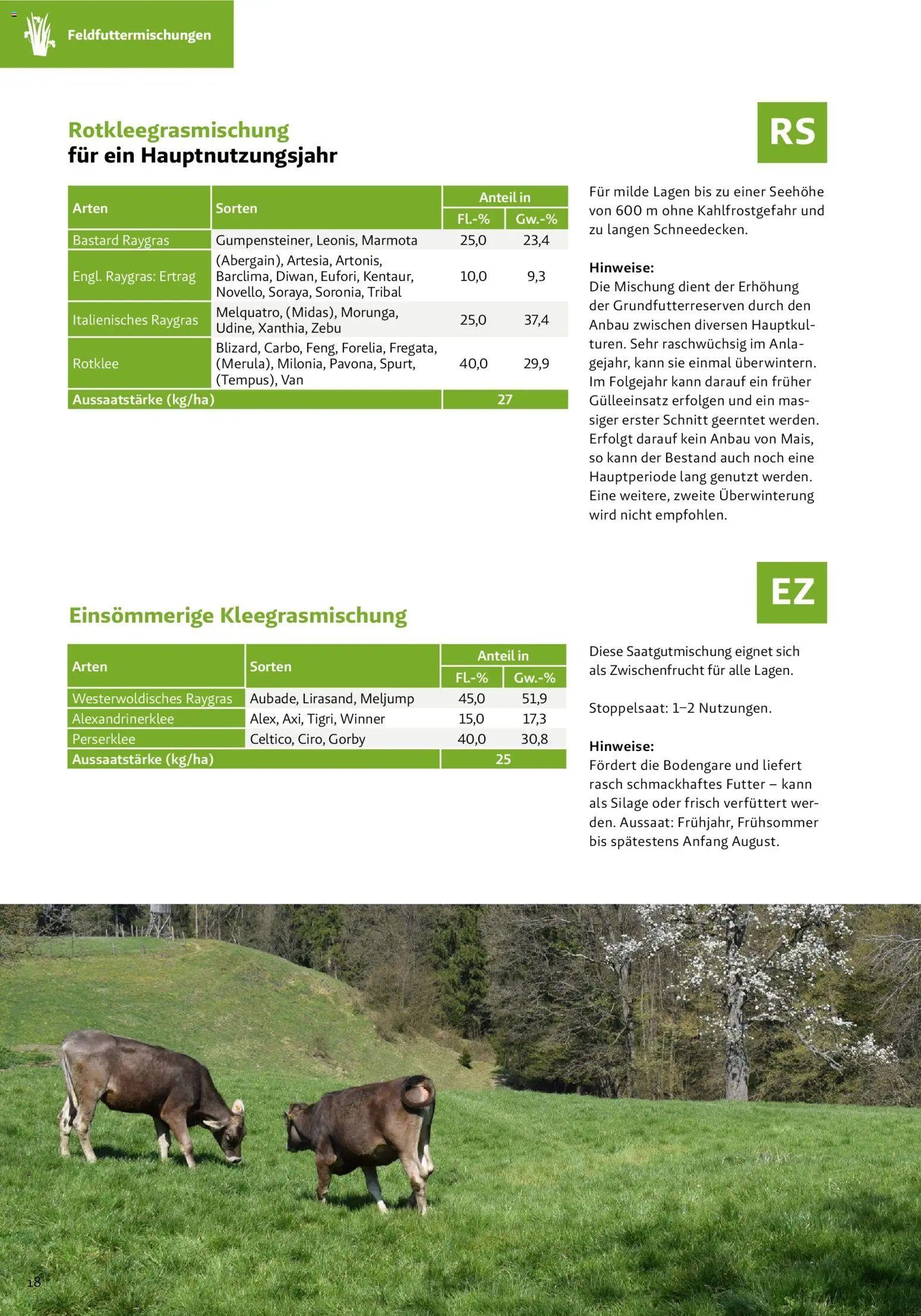 Lagerhaus Grünland  2026 / 2027 / 2028