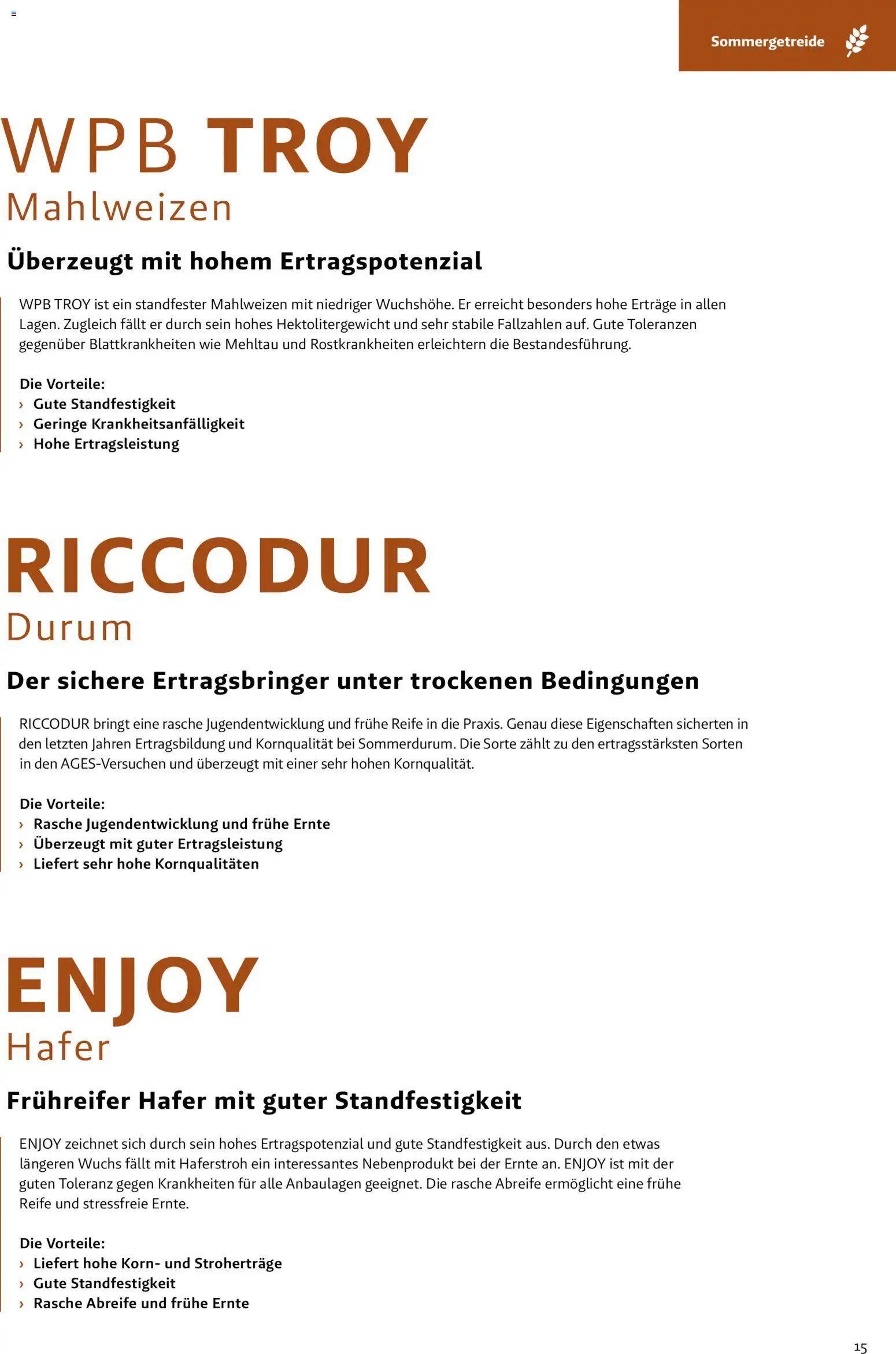 Lagerhaus - Frühjahr 2026 Östliches  Niederösterreich