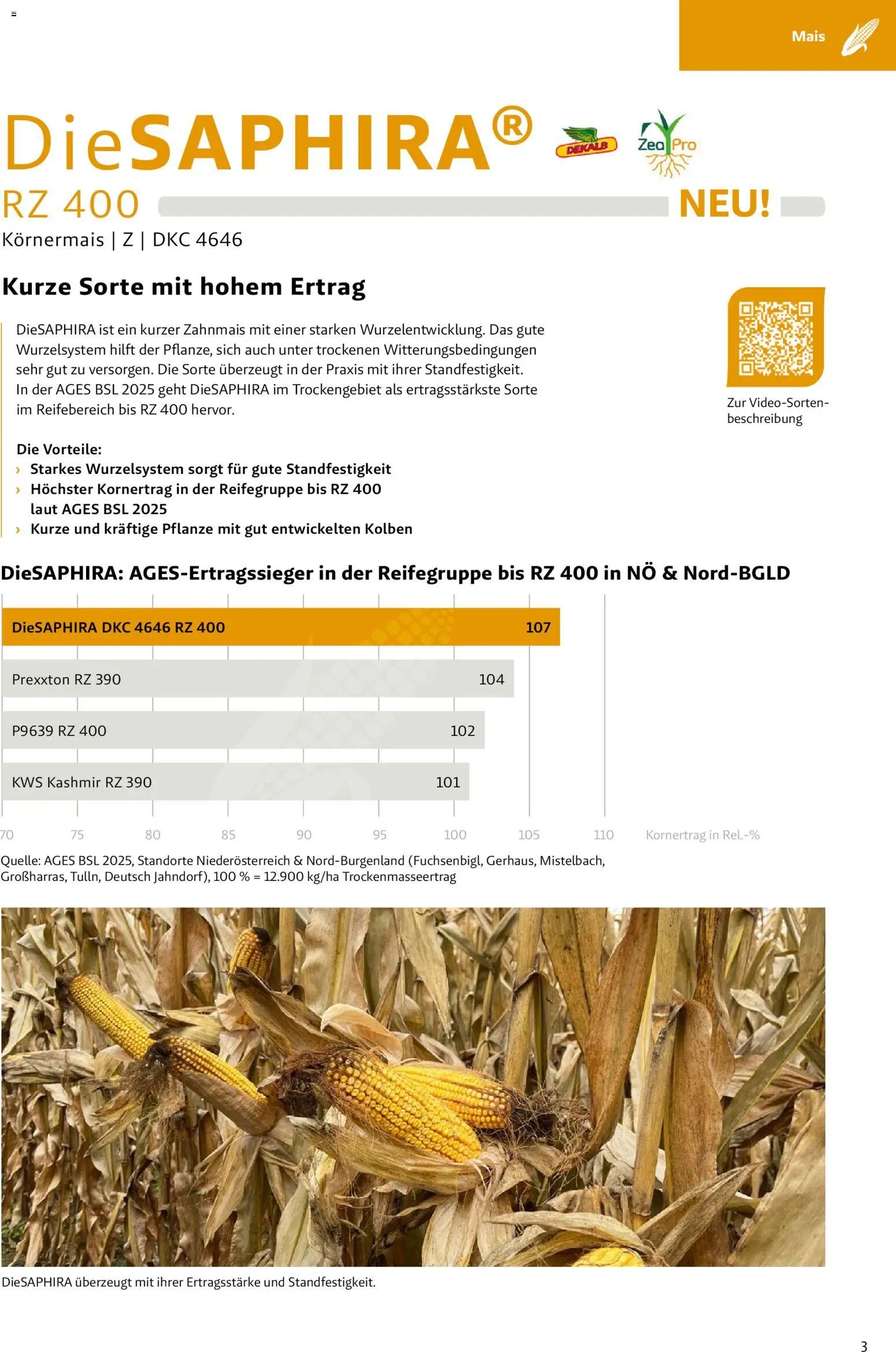 Lagerhaus - Frühjahr 2026 Östliches  Niederösterreich