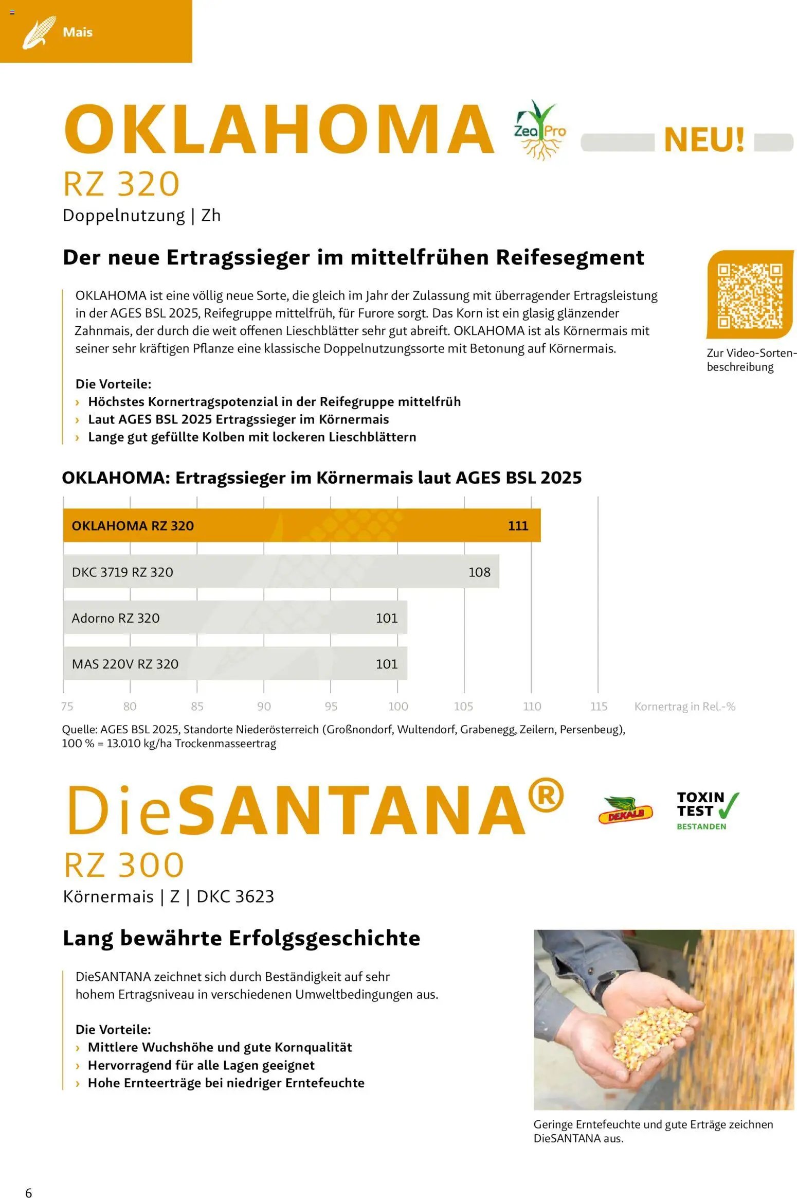 Lagerhaus - Frühjahr 2026 Östliches  Niederösterreich