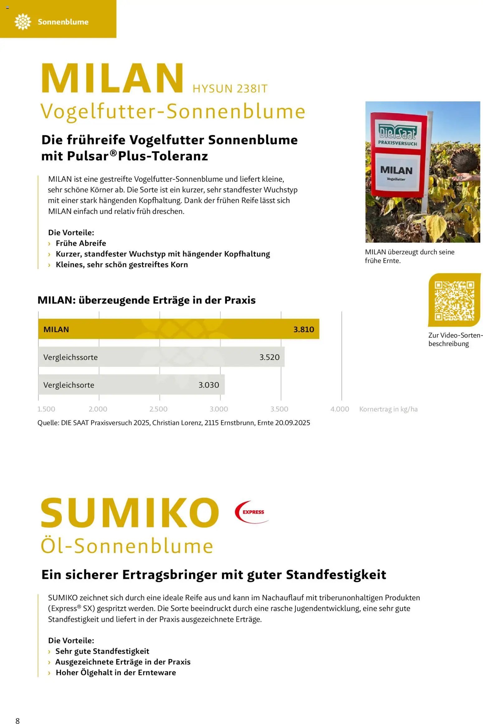 Lagerhaus - Frühjahr 2026 Östliches  Niederösterreich