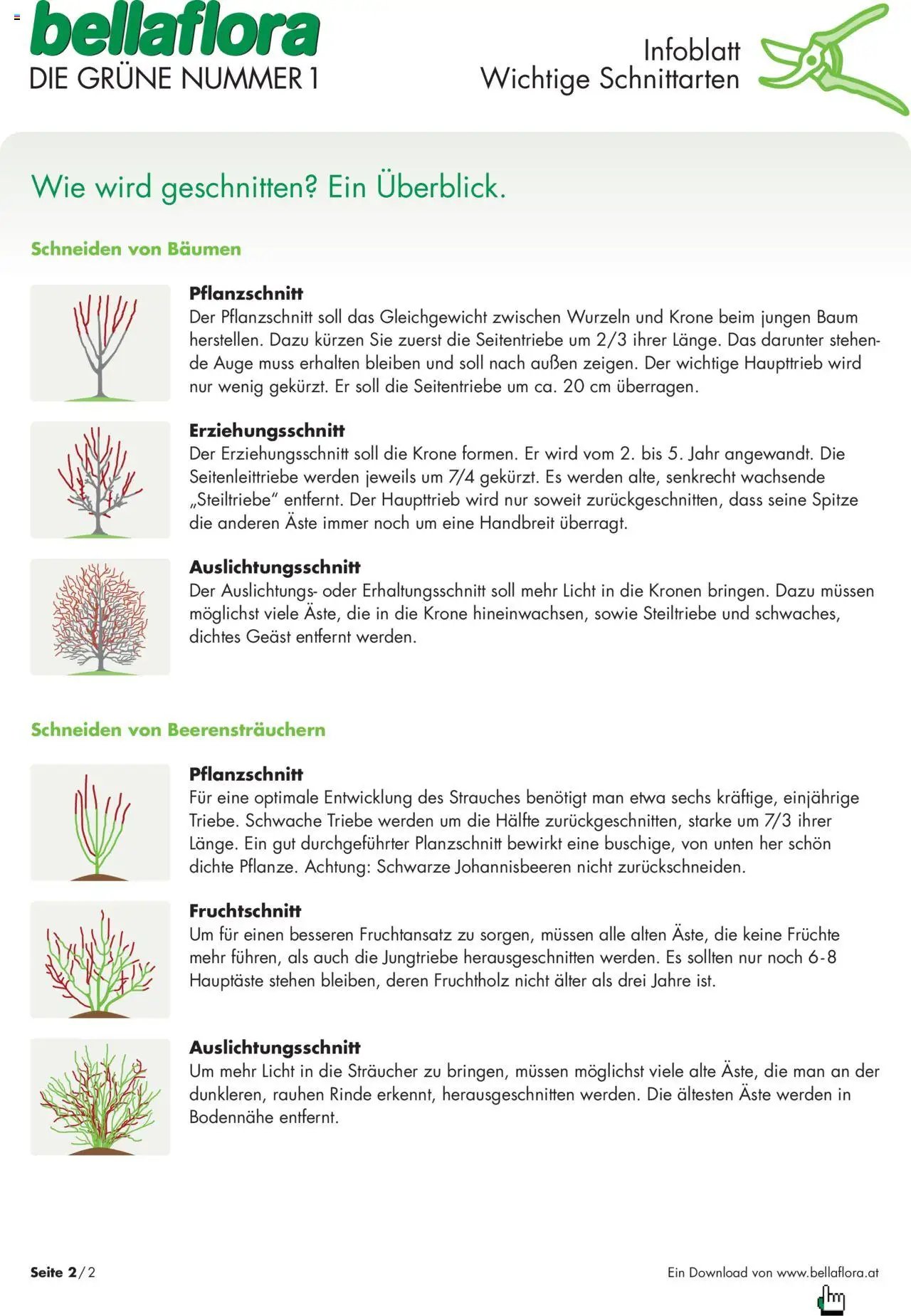 bellaflora - Wichtige Schnittarten