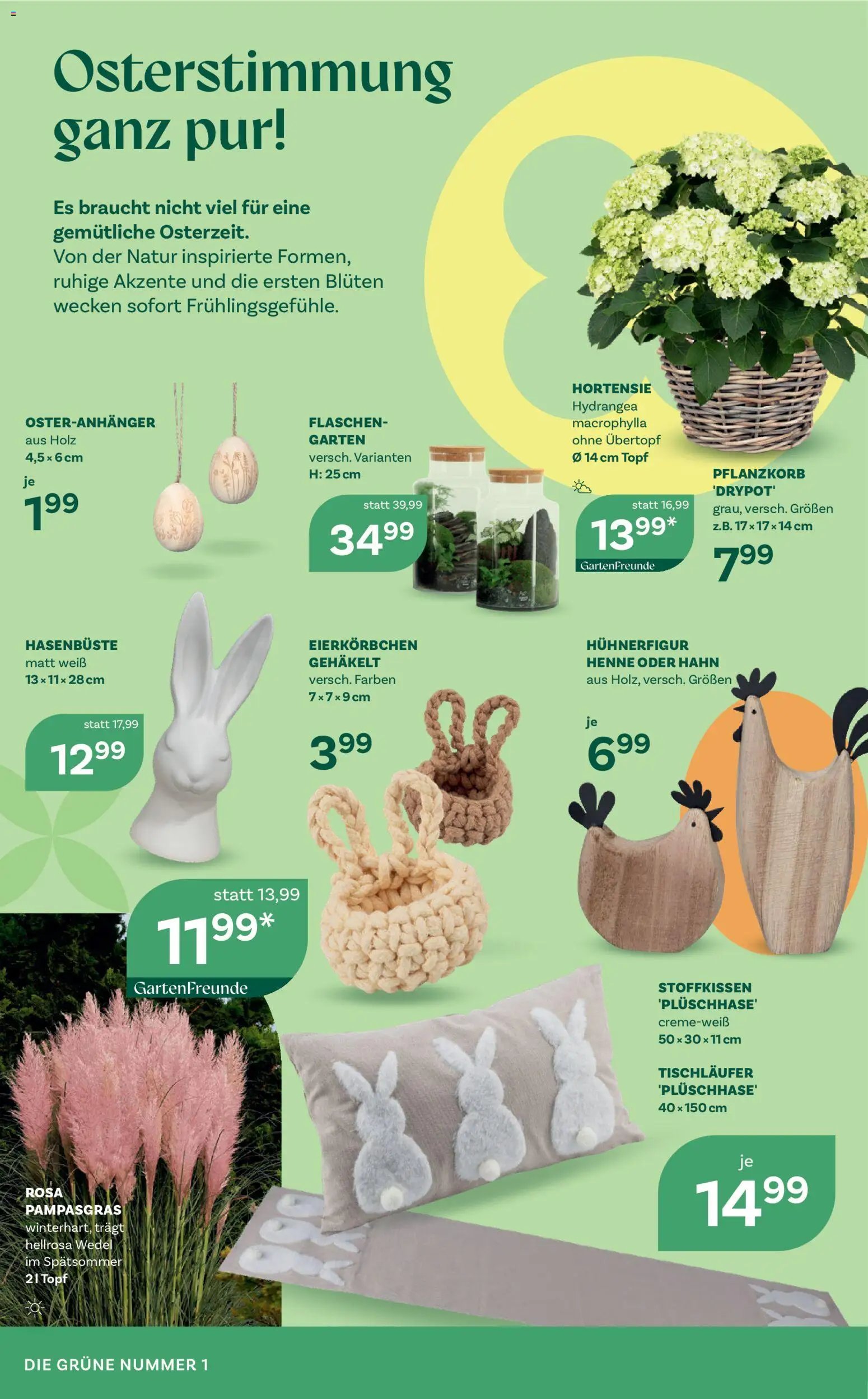 bellaflora Flugblatt