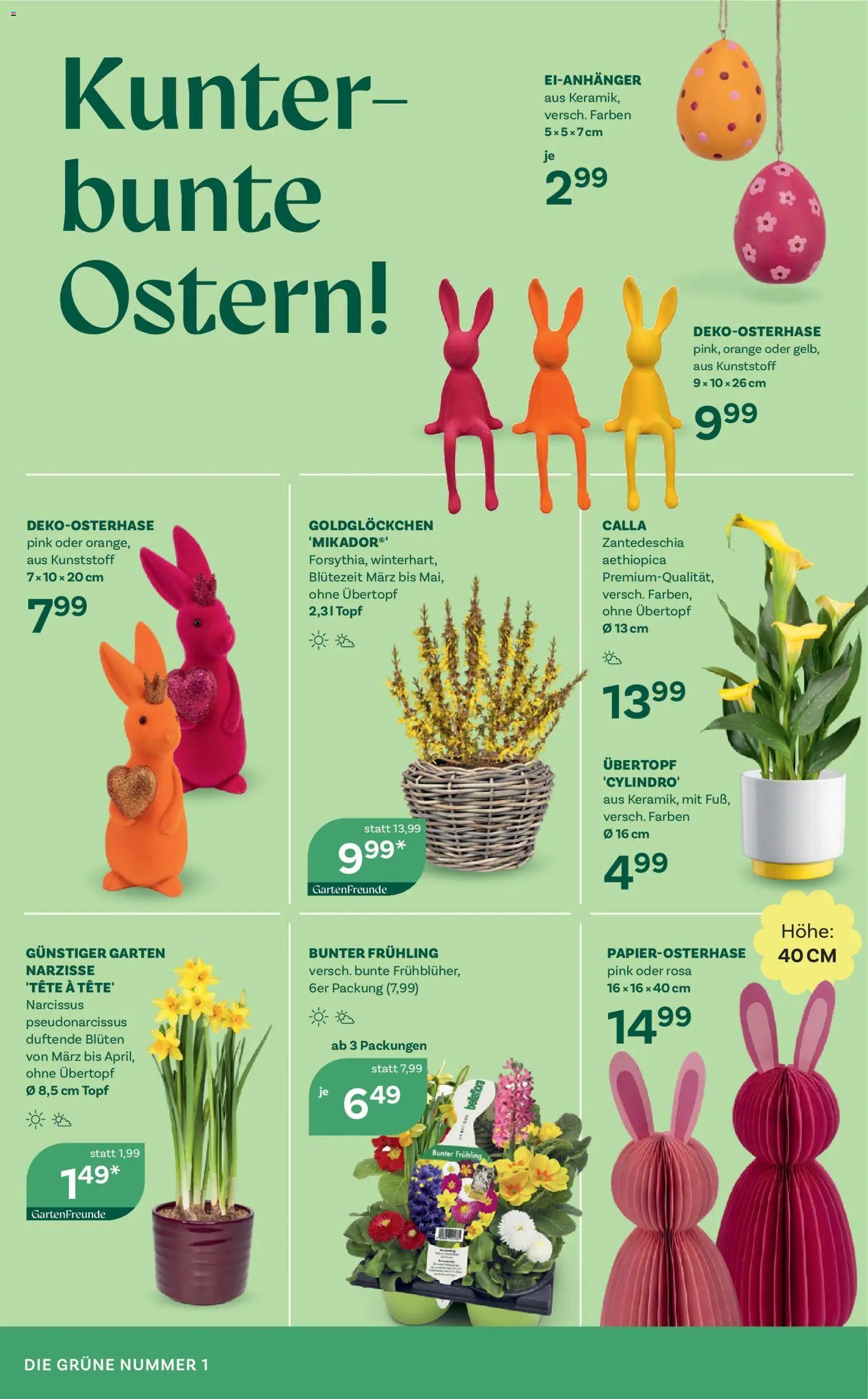 bellaflora Flugblatt