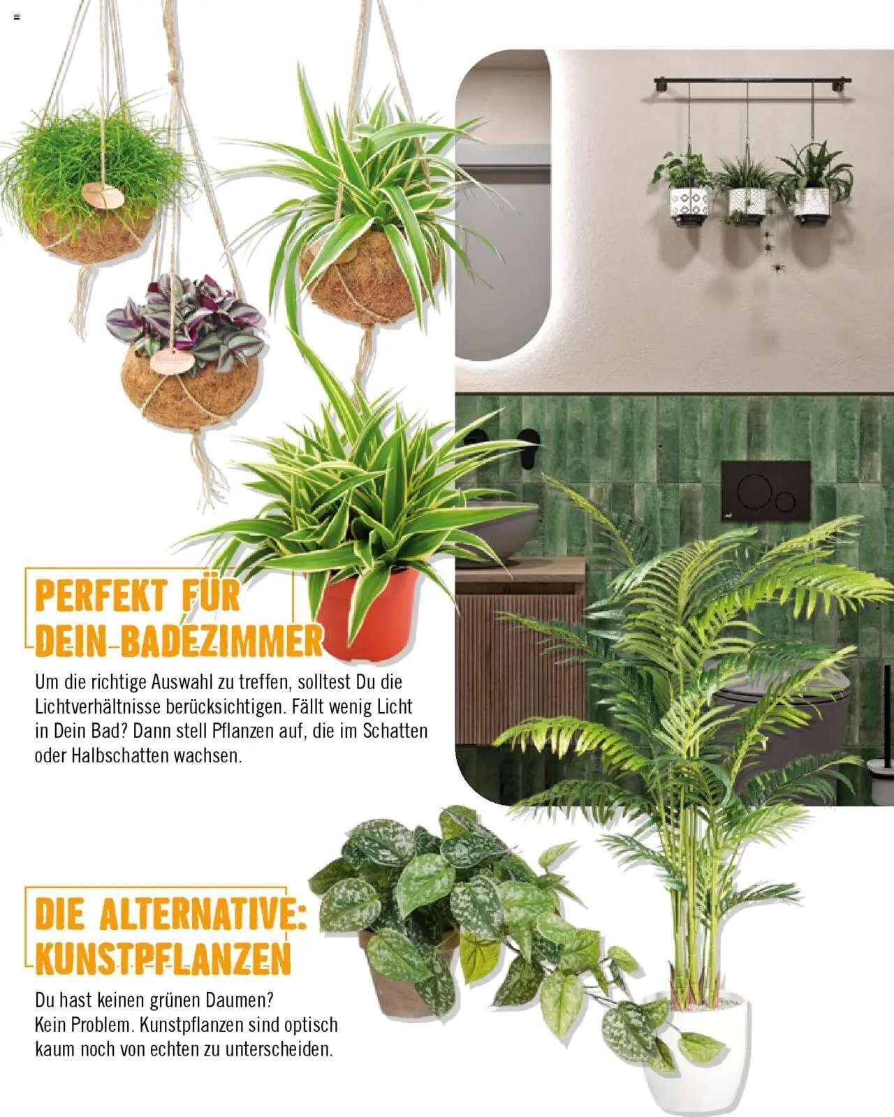 Hornbach Bad 2024 (2024-10-01 - 2025-10-01)