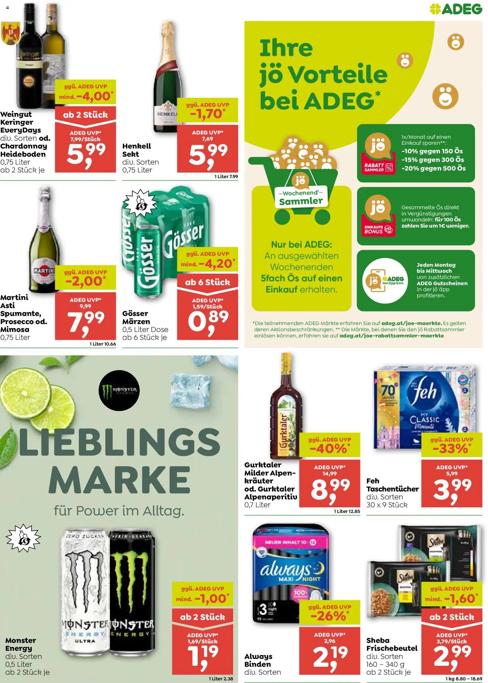 ADEG Flugblatt