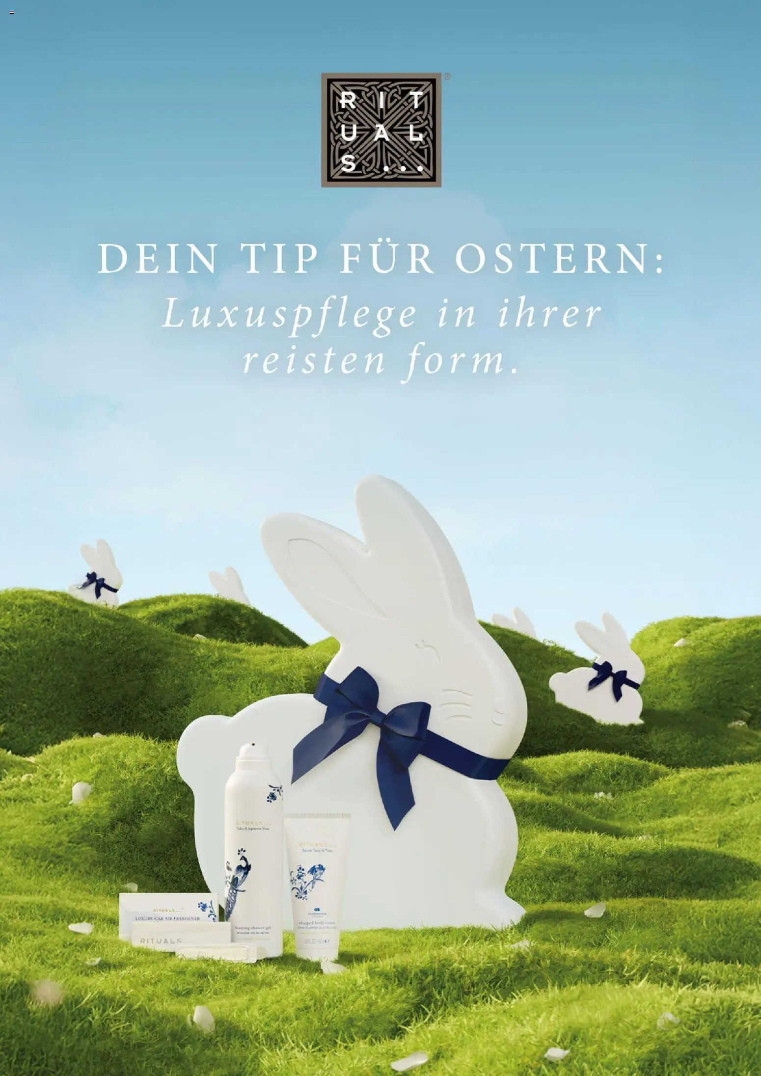 Travel FREE Flugblatt