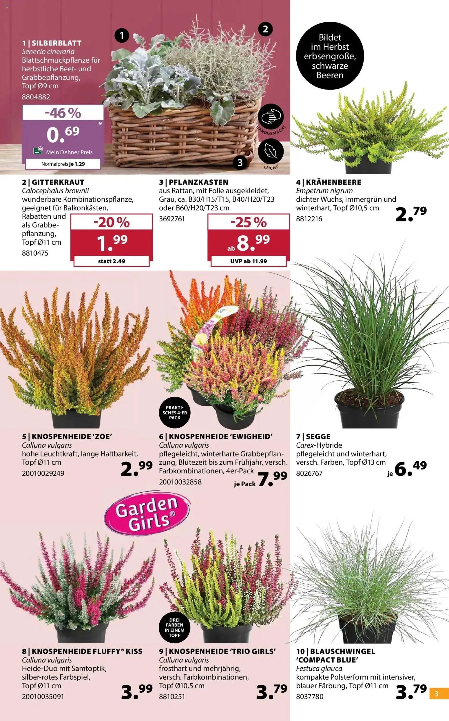 Dehner - Dehner: Garten & Zoo