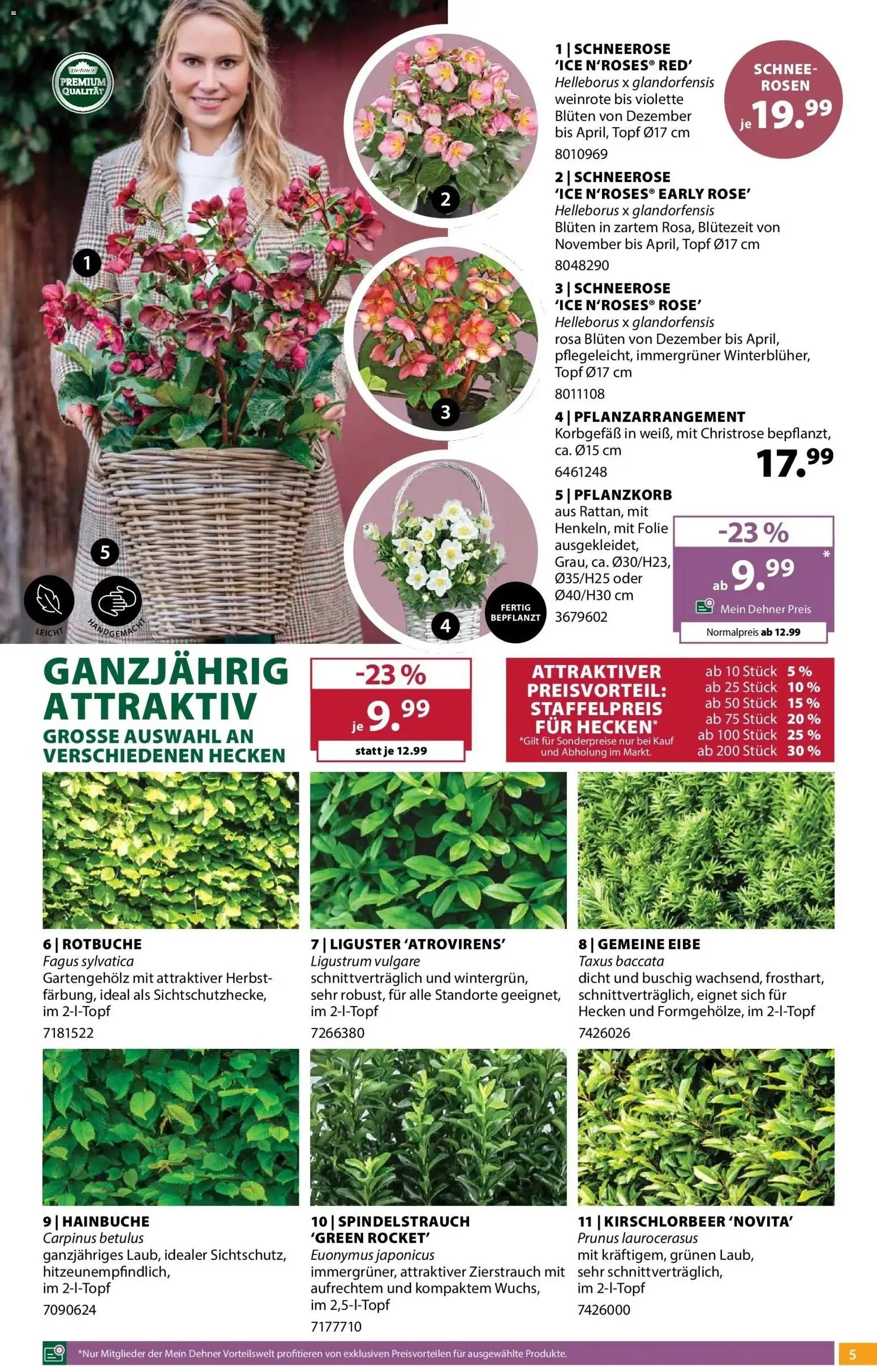 Dehner - Dehner: Garten & Zoo