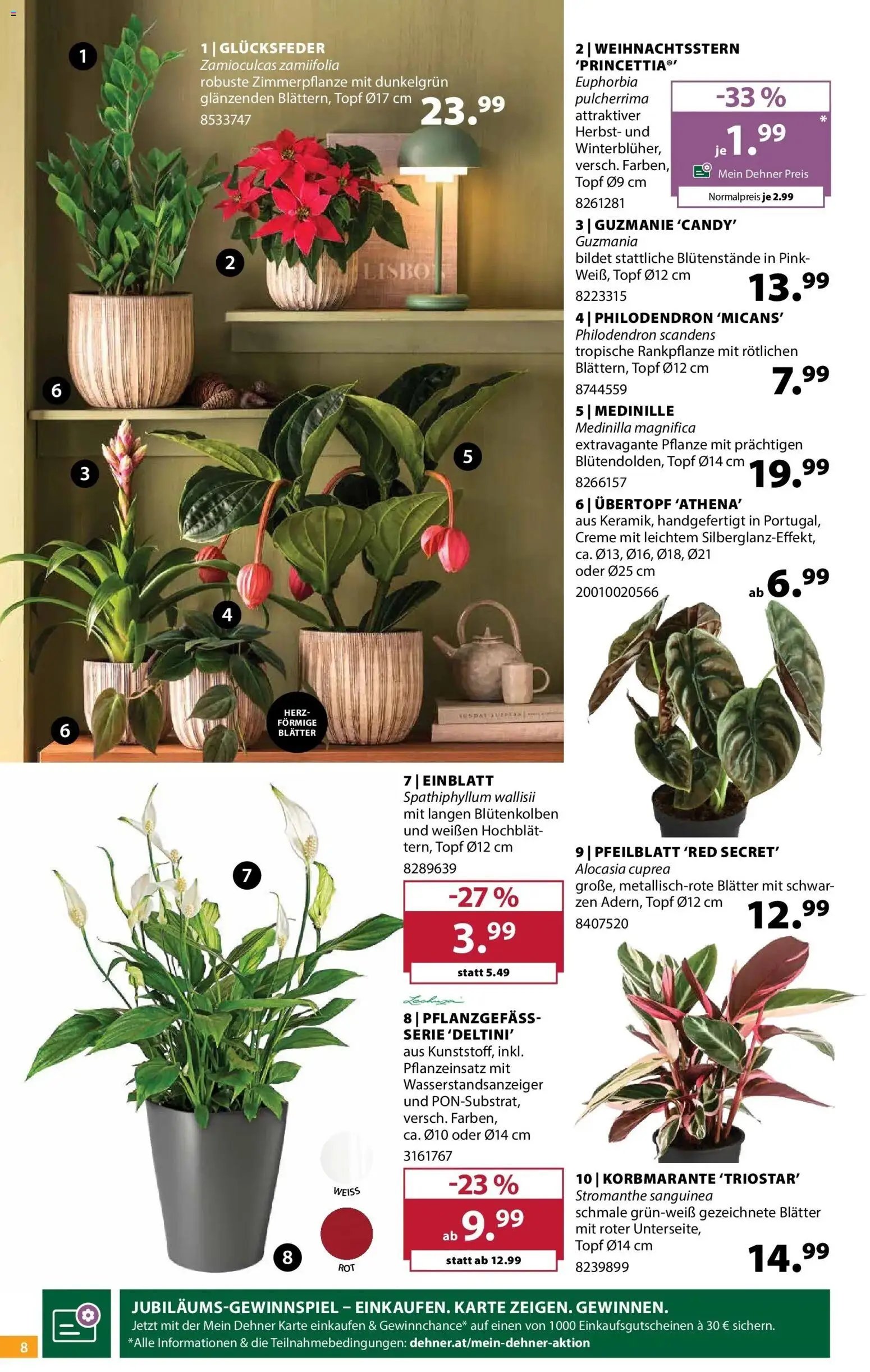 Dehner - Dehner: Garten & Zoo