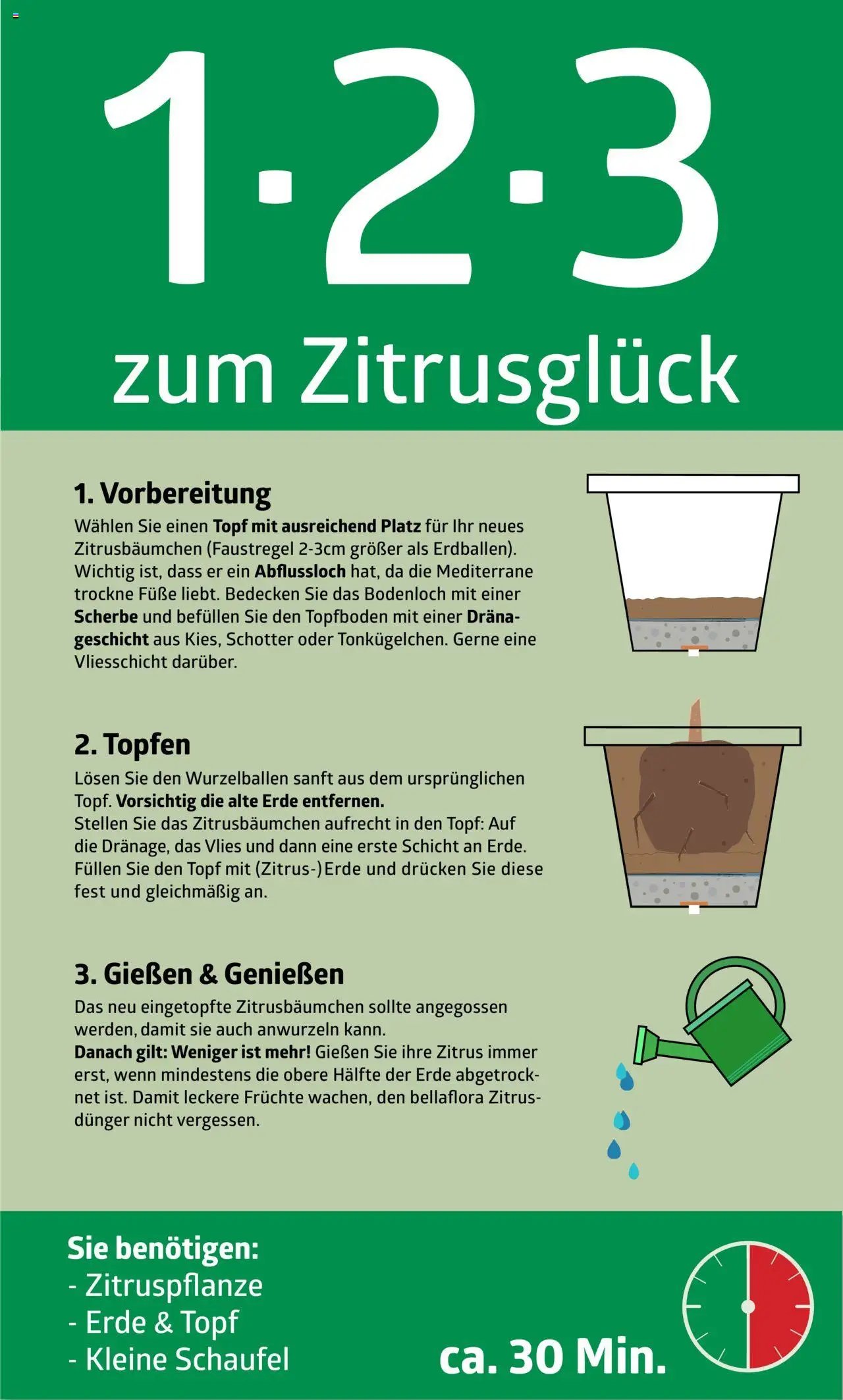 bellaflora - 1-2-3 zum Zitrusglück