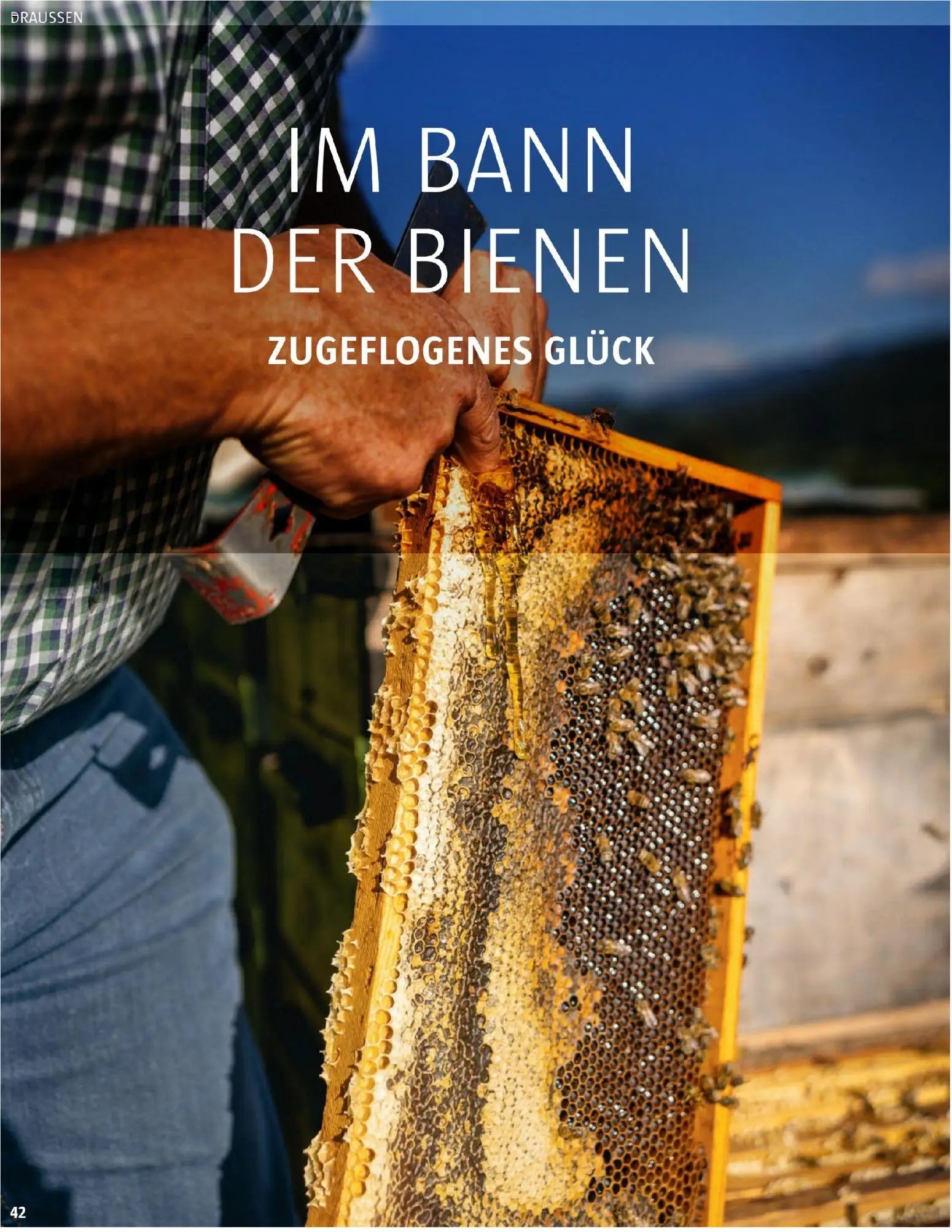 Sutterlüty B’sundrig Magazine