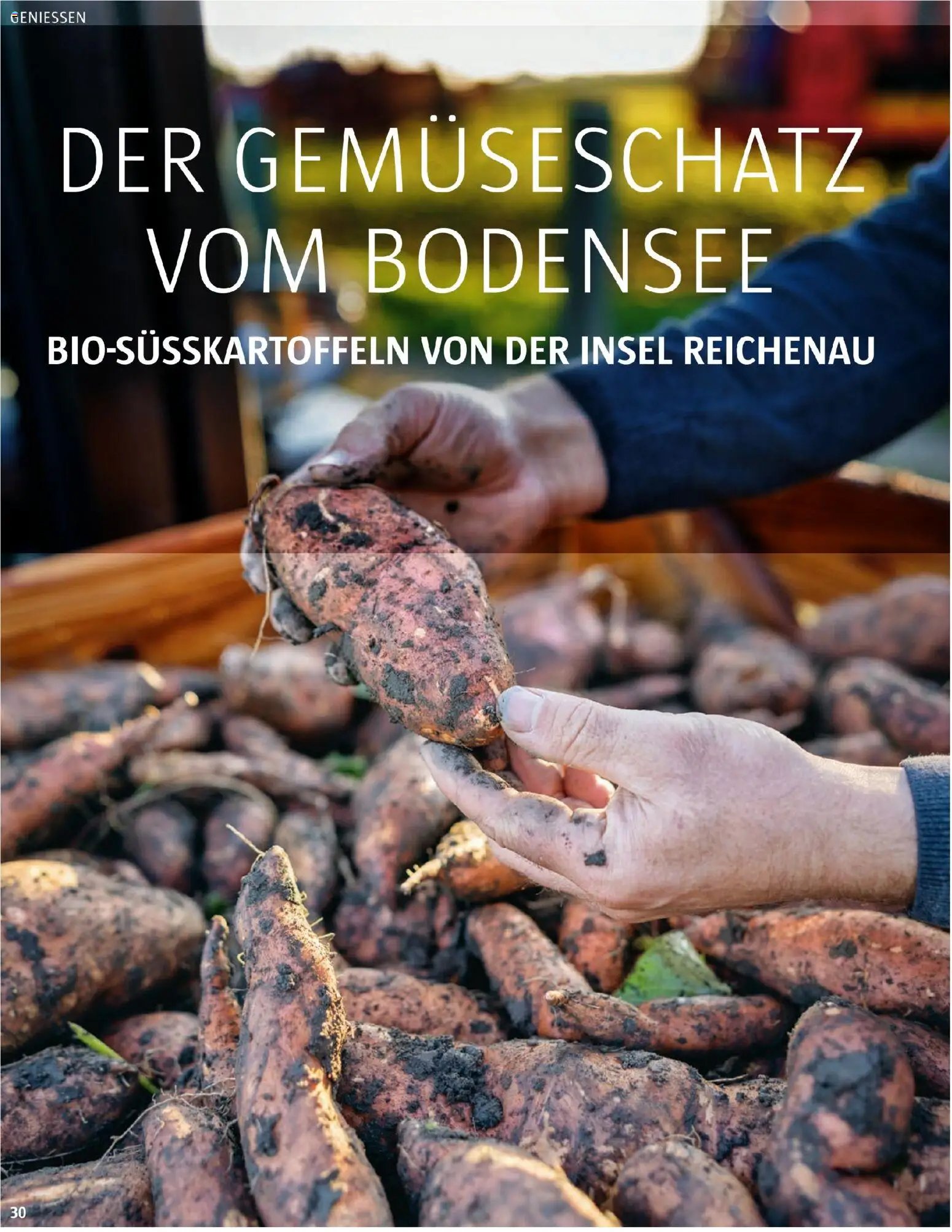 Sutterlüty B’sundrig Magazine