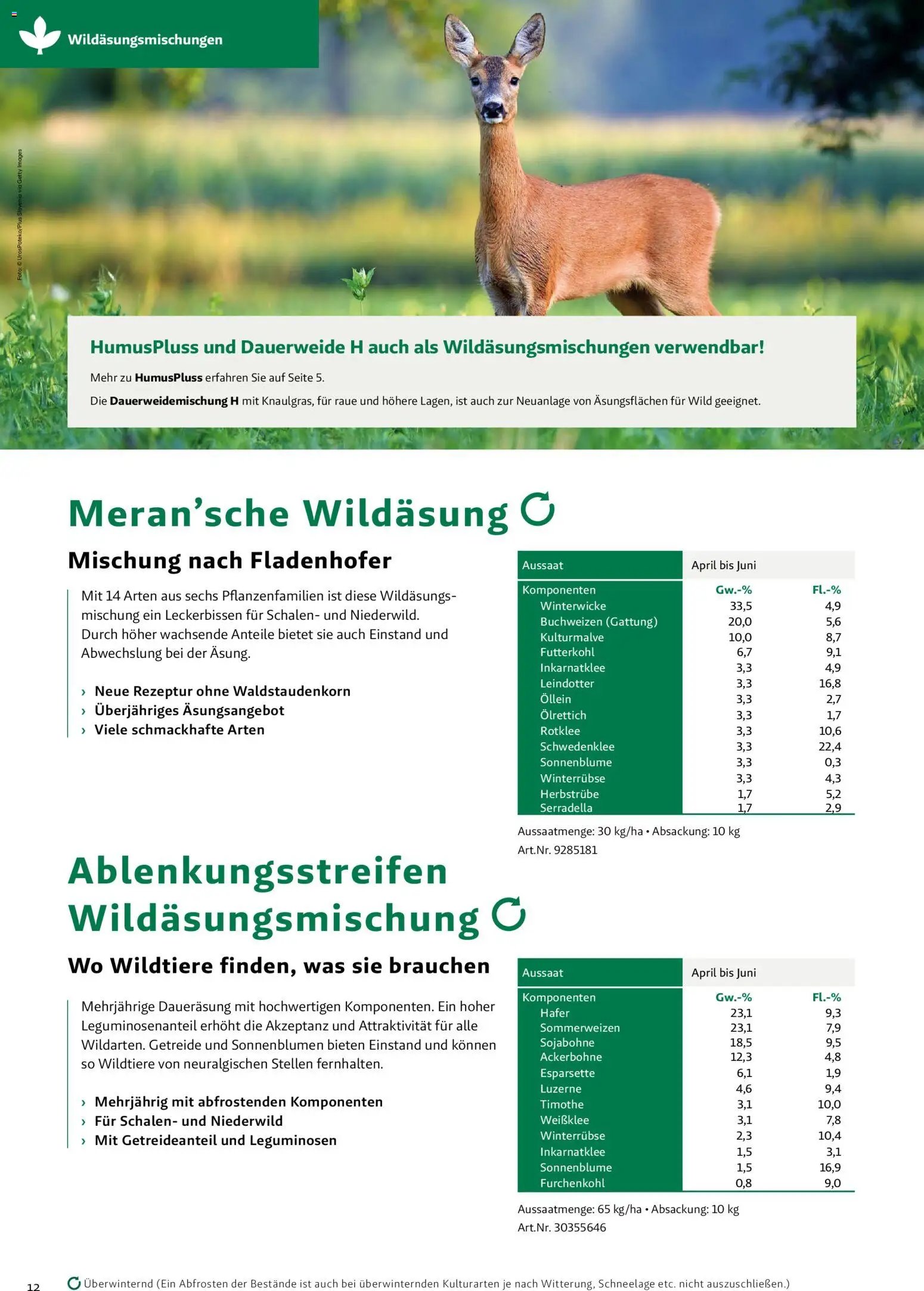 Lagerhaus Zwischenfrüchte und Begrünungen 2026