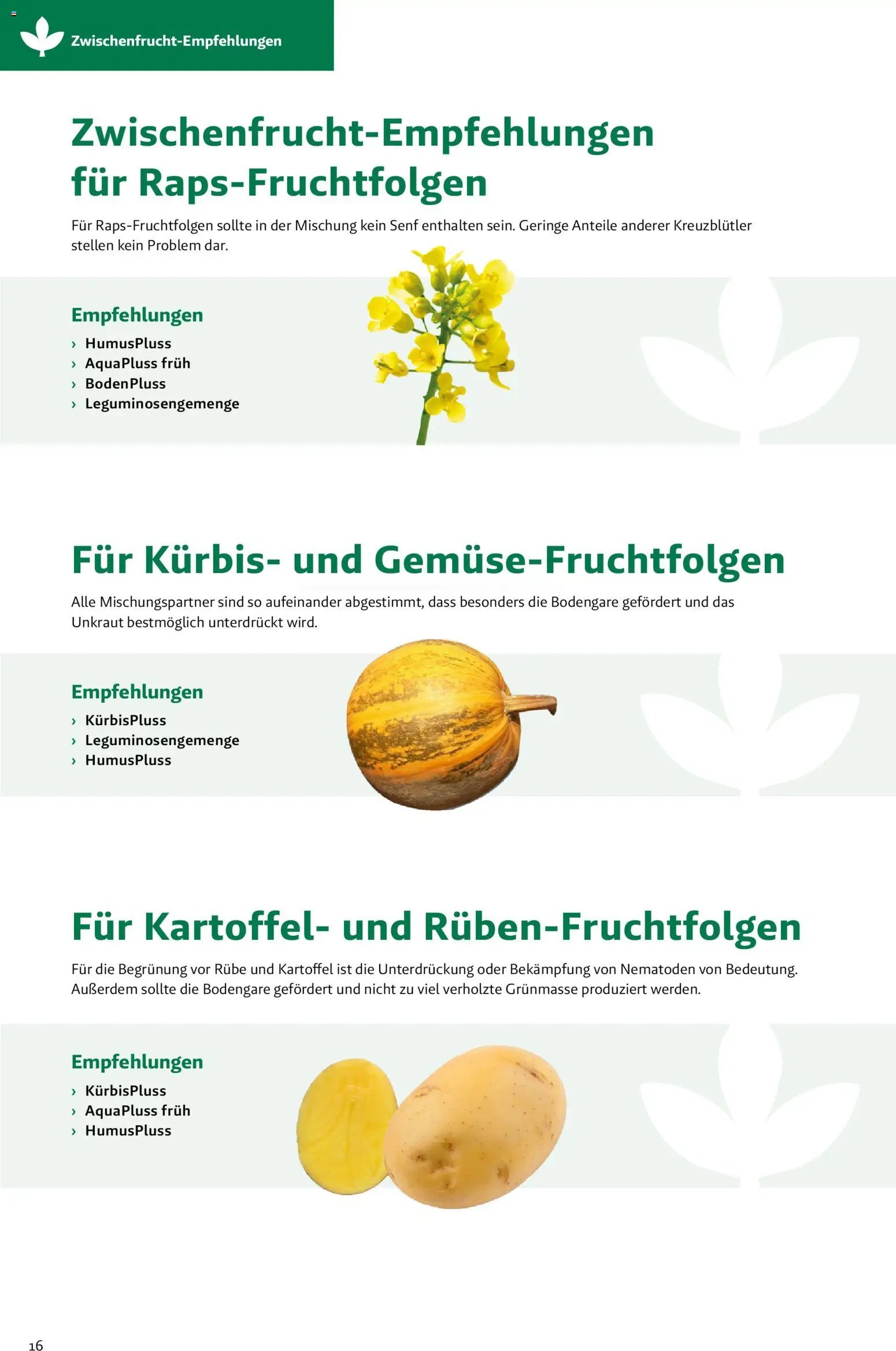 Lagerhaus Zwischenfrüchte und Begrünungen 2026