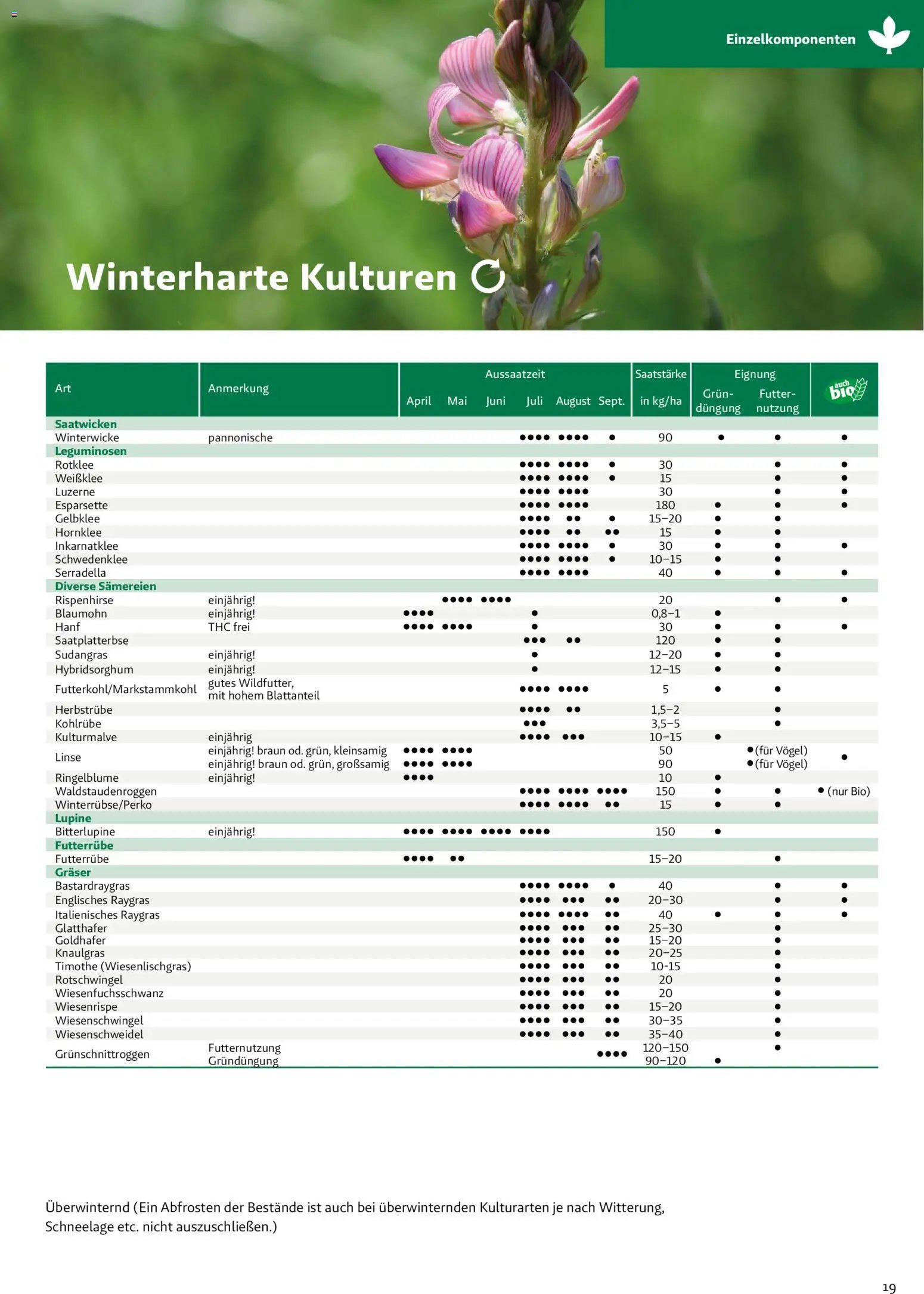 Lagerhaus Zwischenfrüchte und Begrünungen 2026