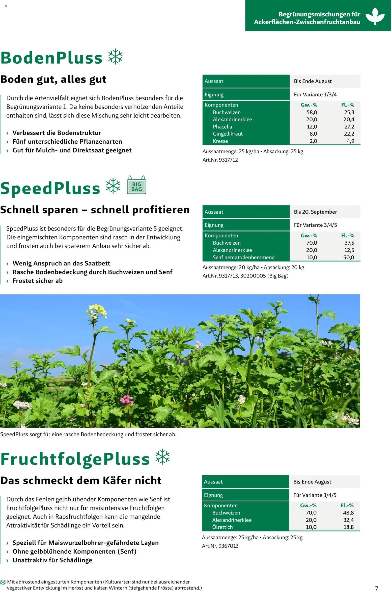 Lagerhaus Zwischenfrüchte und Begrünungen 2026